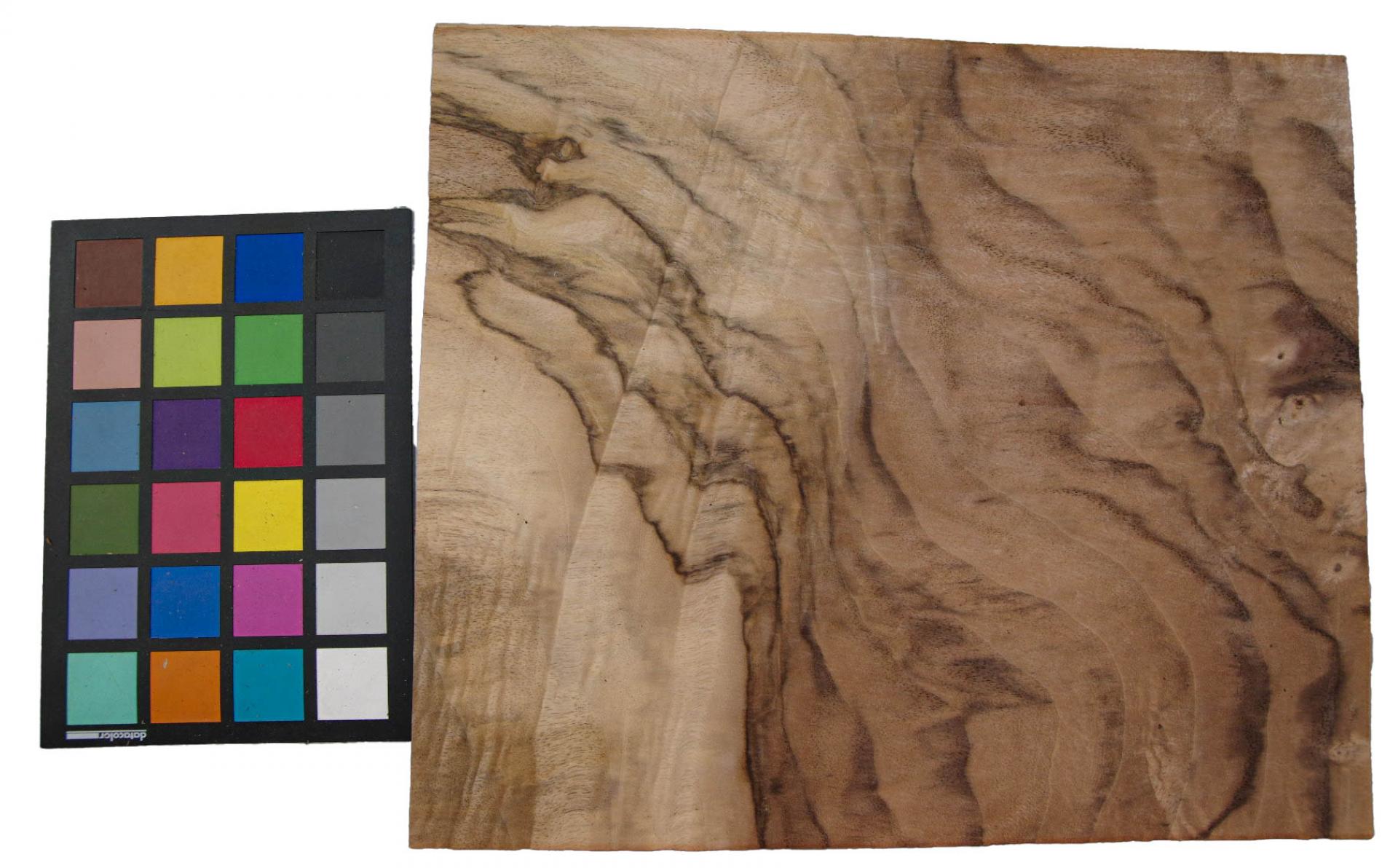 Californian Walnut Burl, - veneer (1,4mm) - 1,2m² (13pcs. x 33cm x 28cm)