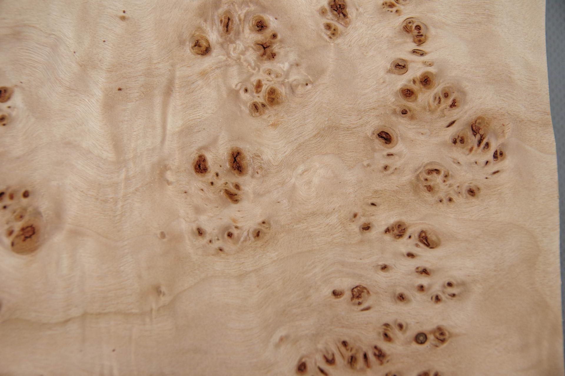 Pappel Maser (Mapa) -Furnier (0,6mm) - 0,86m² (20Stk. x 16cm x 27cm)