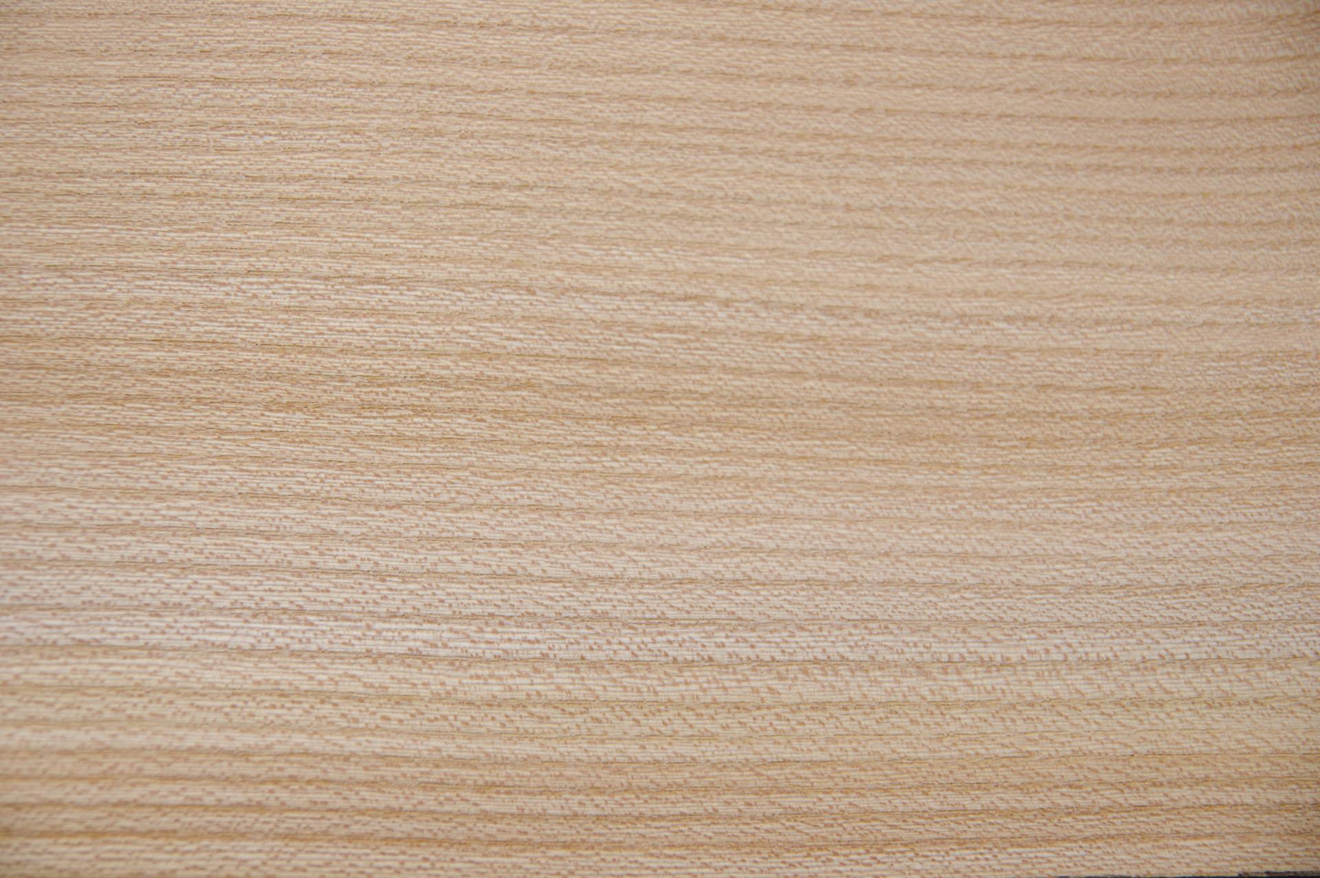 Rüster (Ulme) -Furnier (0,6mm) - 1,16m² (24Stk. x 42cm x 11,5cm)