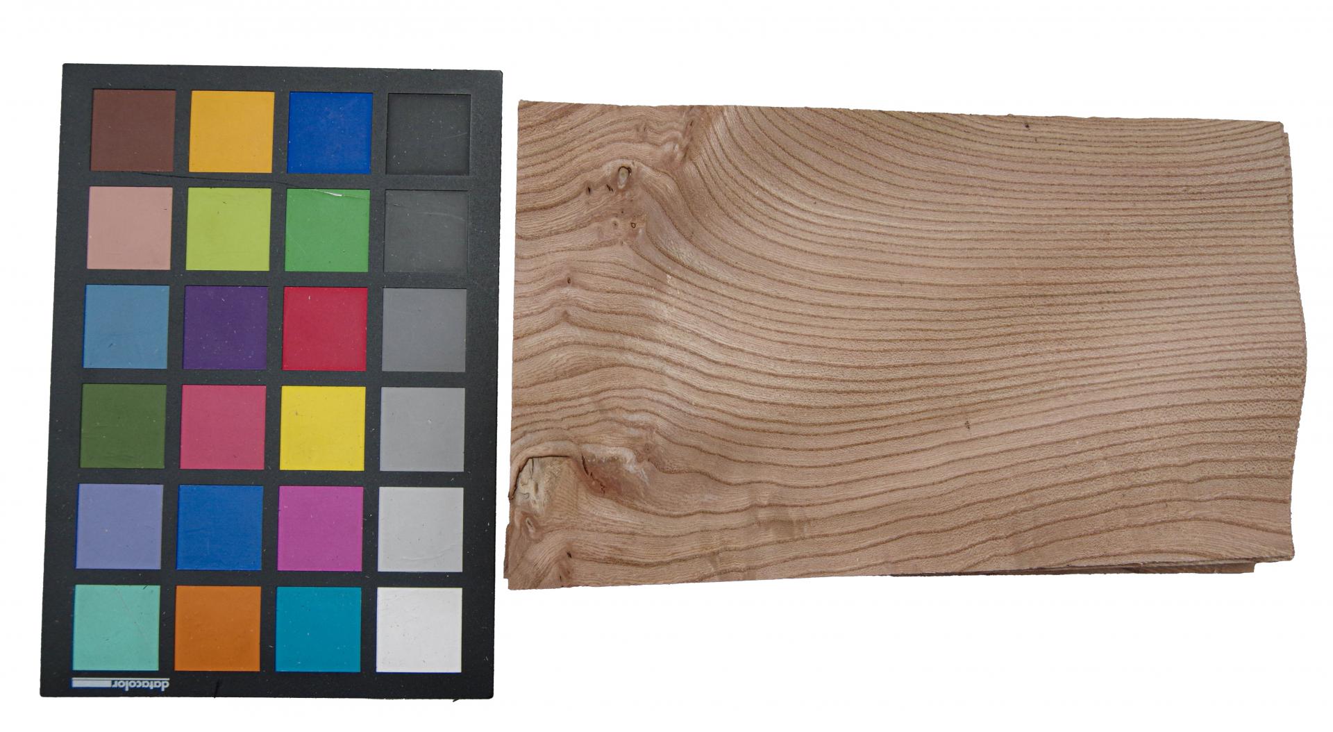 Rüster (Ulme) -Furnier (0,6mm) - 0,56m² (18Stk. x 24cm x 13cm)