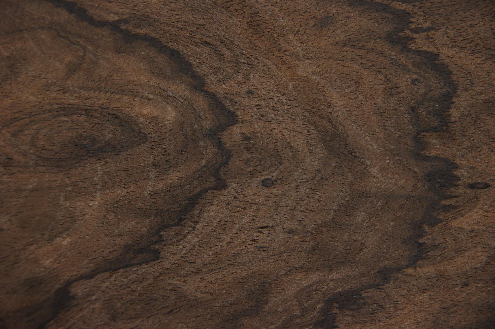 Ziricote -Furnier (0,6mm) - 0,17m² (6Stk. x 23cm x 12cm)