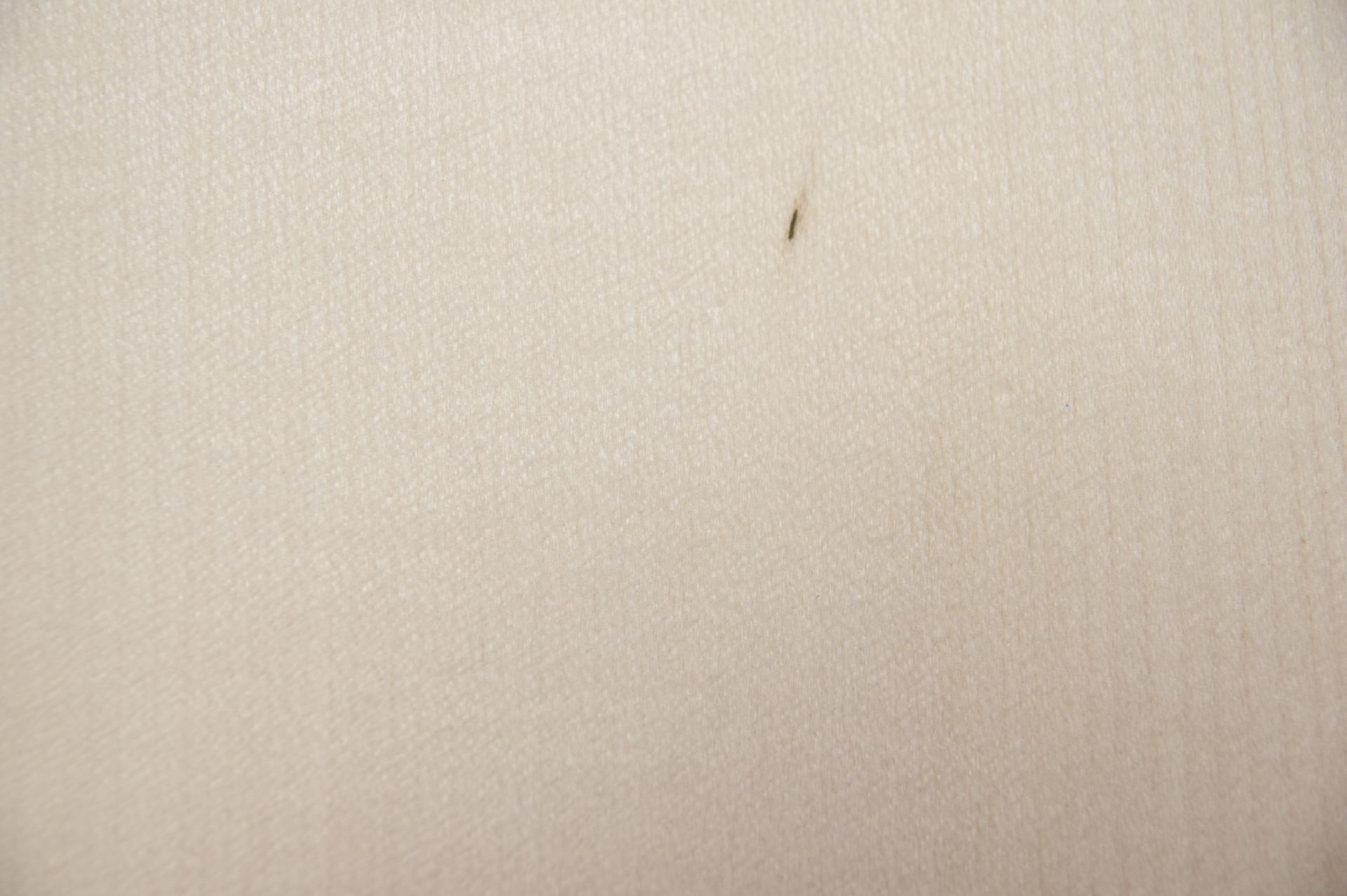 Ahorn, europäischer -Furnier (0,6mm) - 0,39m² (30Stk. x 9cm x 14,5cm)