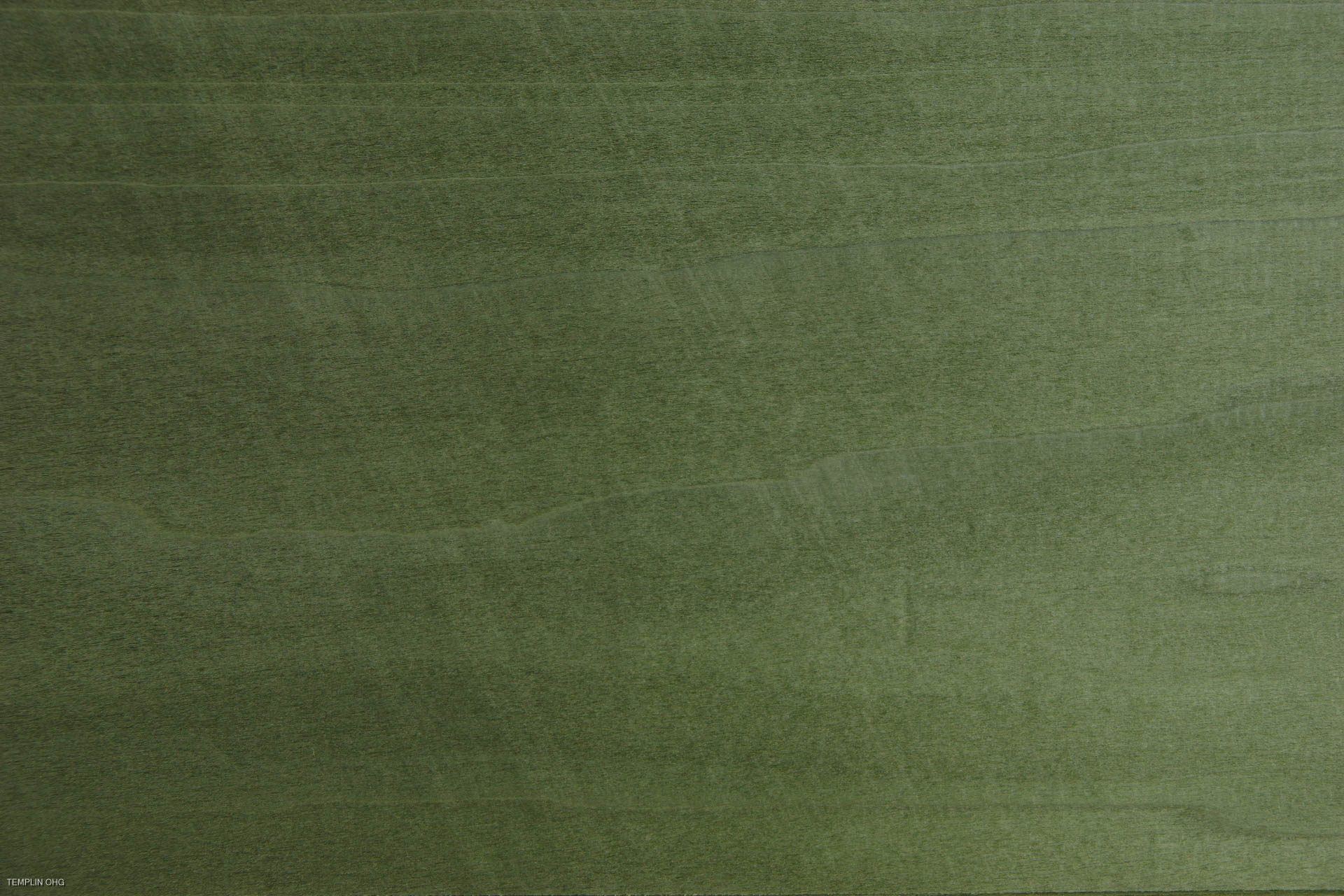 0,6mm Tulpenbaum grün gefärbtes Furnier 0,39m² D 7 29 19
