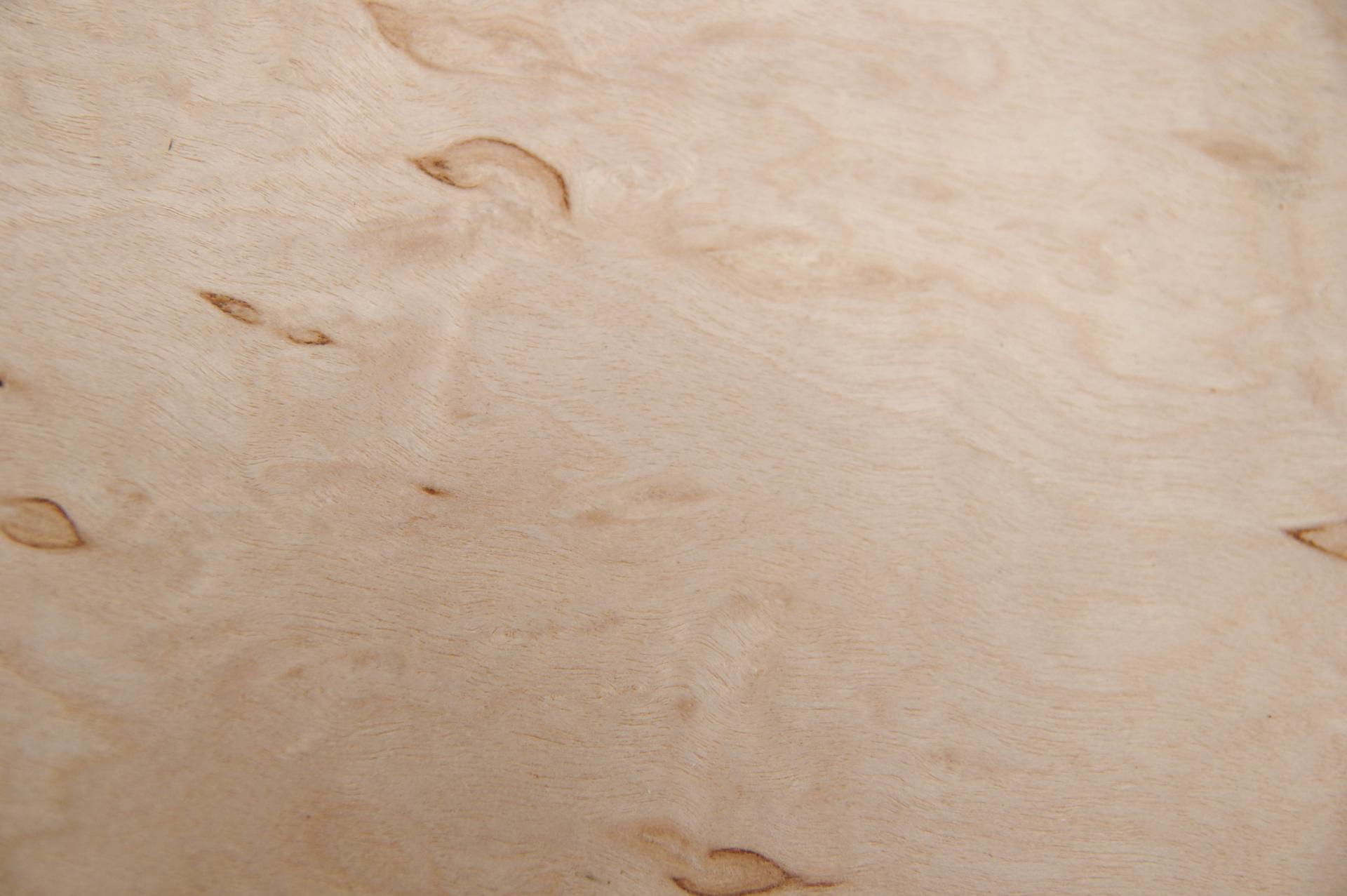 Birke Maser -Furnier (0,6mm) - 0,08m² (5Stk. x 22cm x 7cm)
