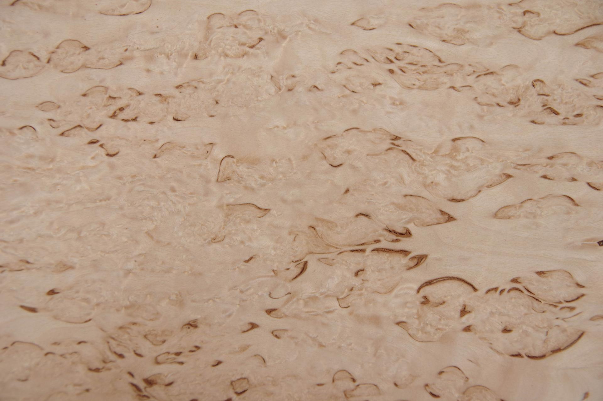 Birke Maser -Furnier (0,6mm) - 1,04m² (12Stk. x 54cm x 16cm)
