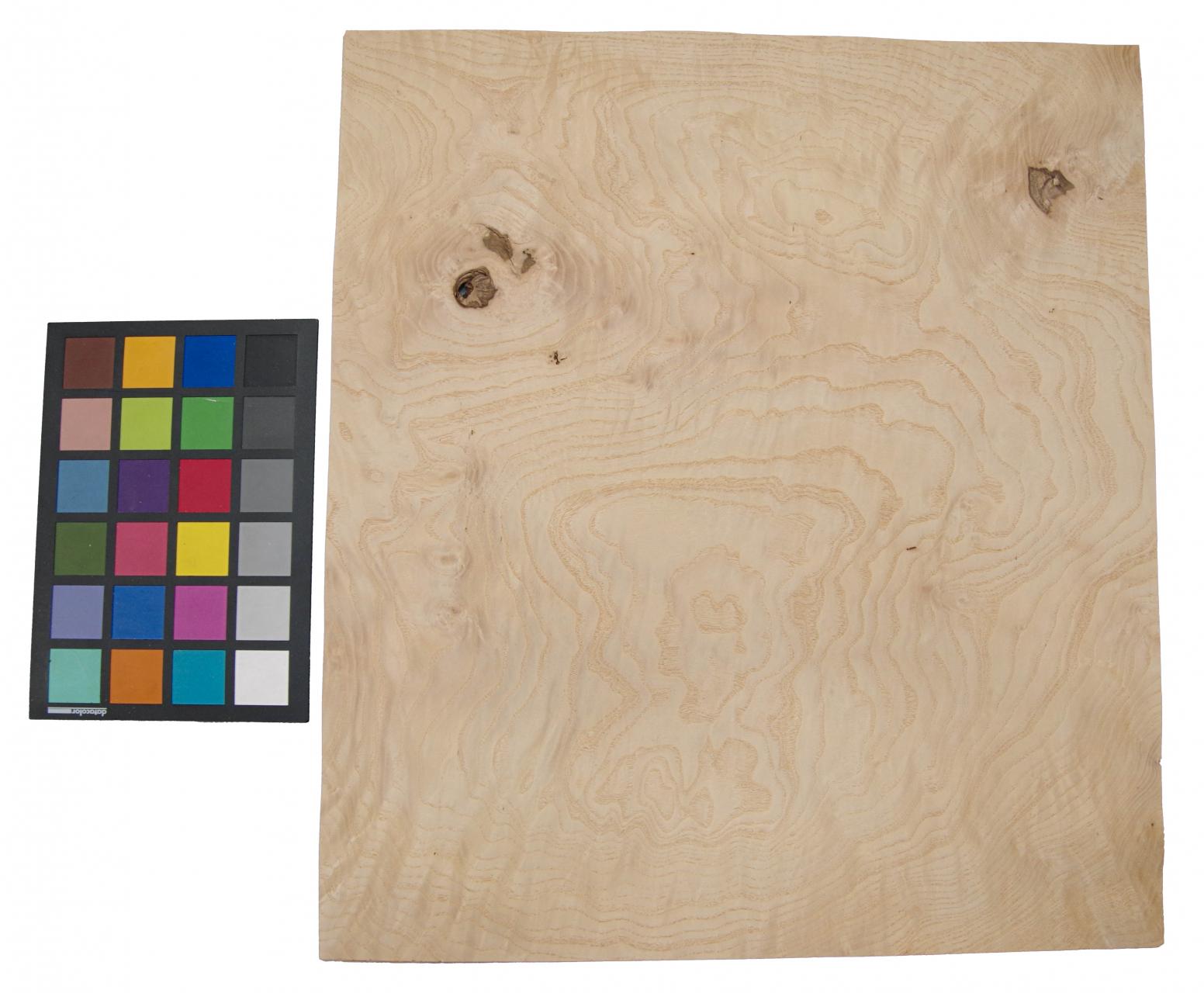 Esche Maser, weiß -Furnier (0,6mm) - 1,03m² (6Stk. x 39cm x 44cm)