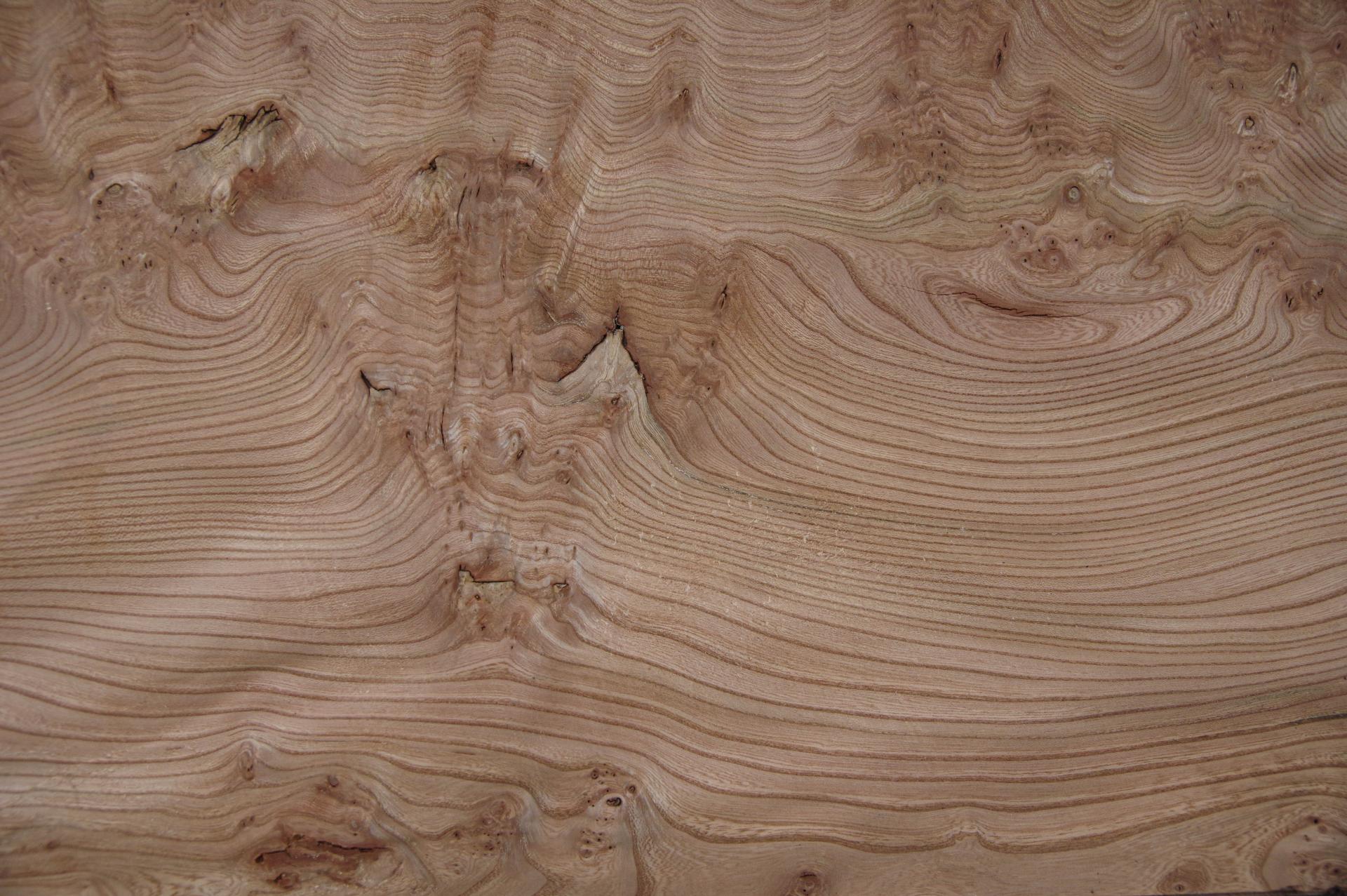 Elm partial Burl, - veneer (0,6mm) - 3,52m² (19pcs. x 53cm x 35cm)