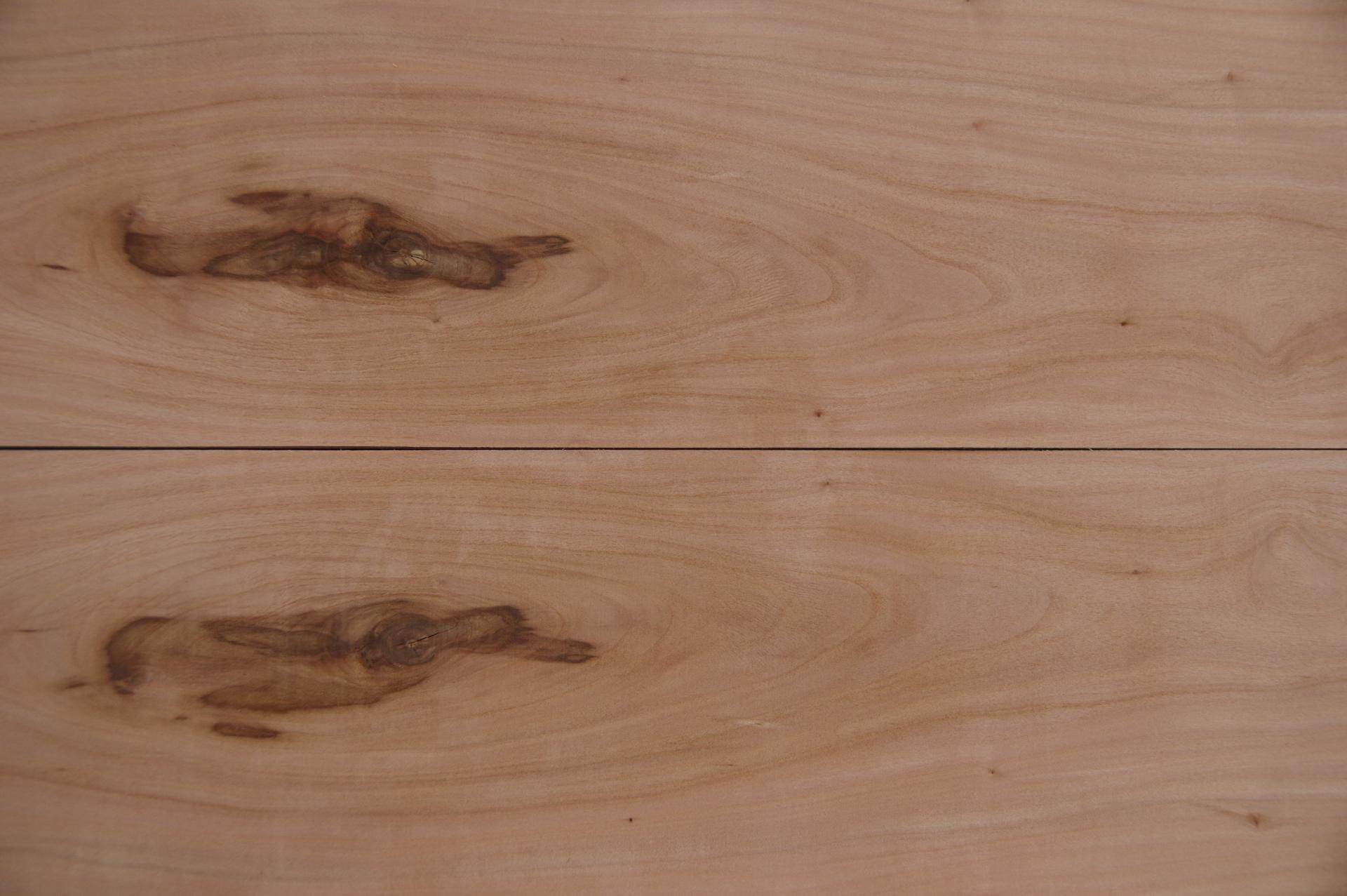 Schweizer Birnbaum (Elsbeere) -Furnier (0,6mm) - 4,83m² (22Stk. x 209cm x 10,5cm)