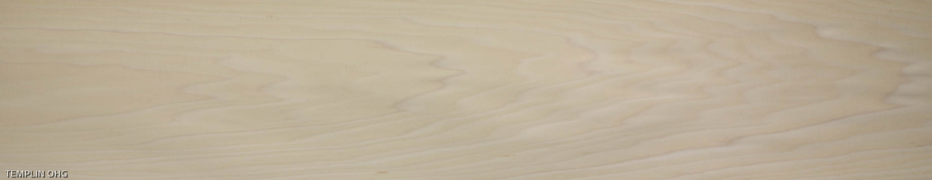 0,6mm Tulpenbaum (Whitewood) Furnier 5,45m² E 14 139 28