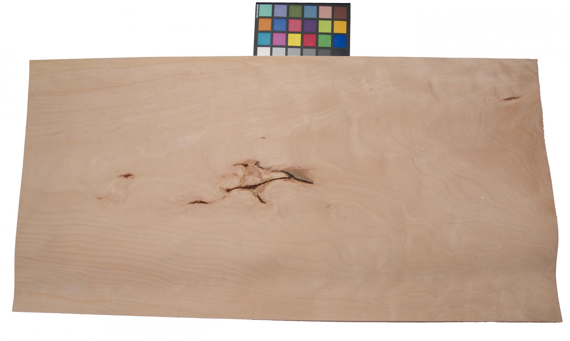 Buche -Furnier (2,4mm) - 4,12m² (8Stk. x 103cm x 50cm)