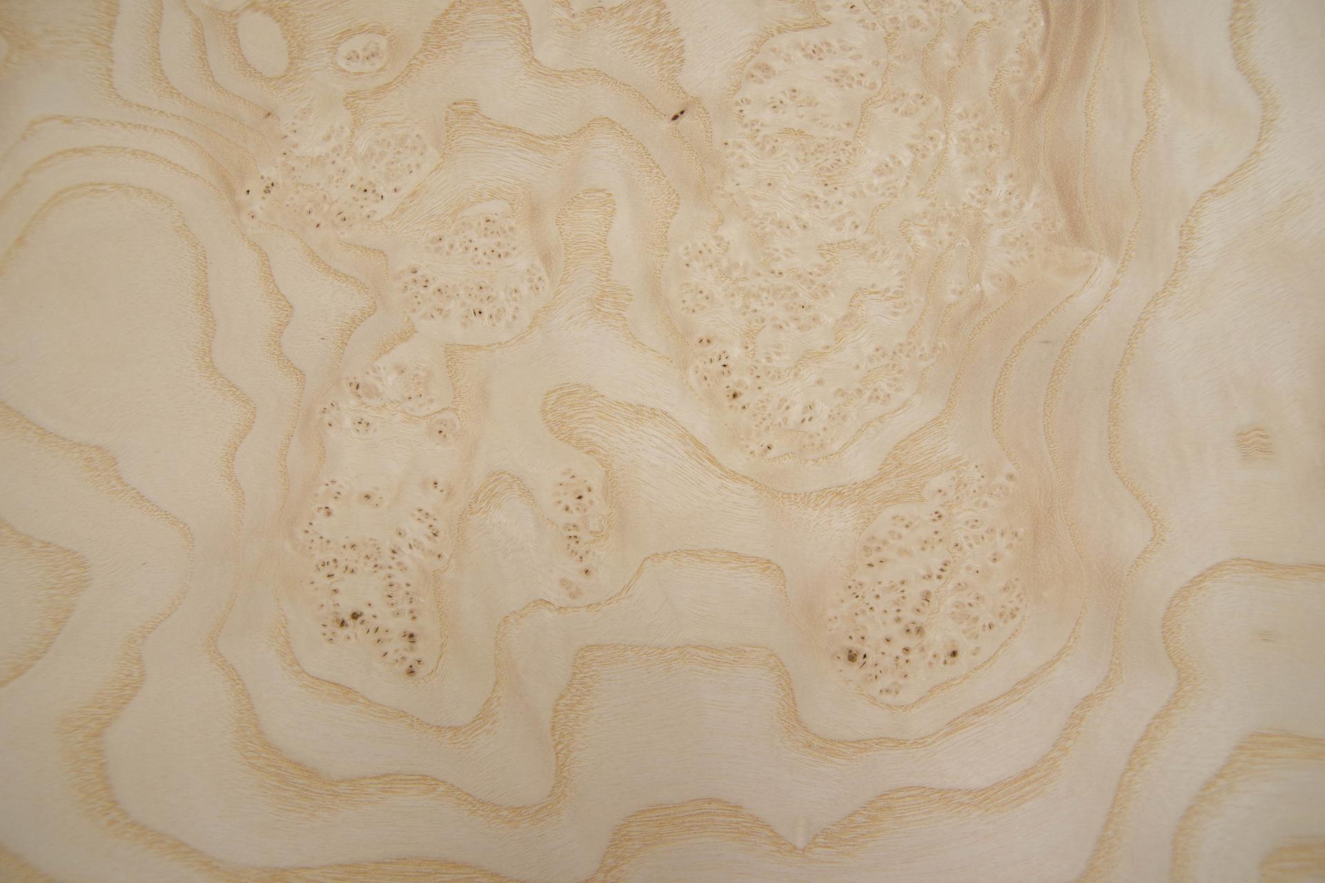 White Ash Burl, - veneer (0,6mm) - 10.93m² (15pcs. x 235cm x 31cm)