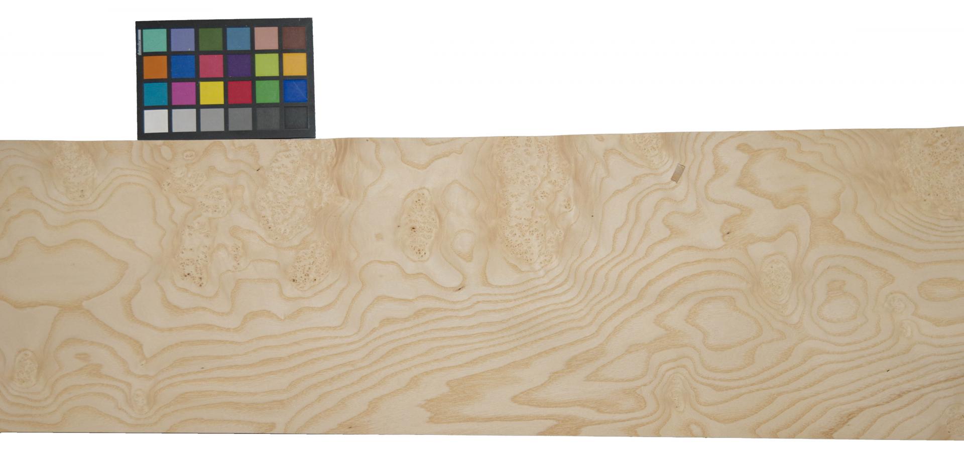 White Ash Burl, - veneer (0,6mm) - 10.93m² (15pcs. x 235cm x 31cm)