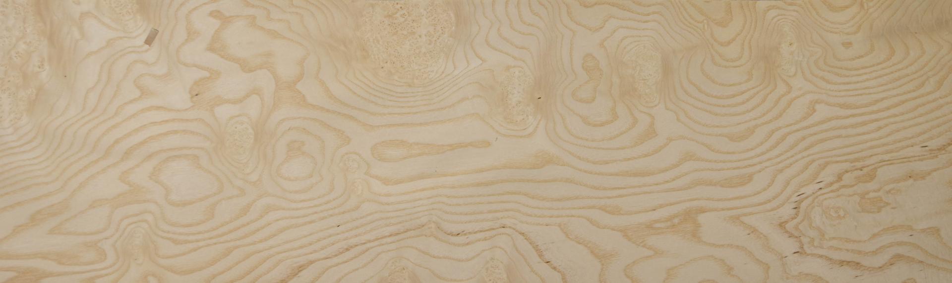 White Ash Burl, - veneer (0,6mm) - 10.93m² (15pcs. x 235cm x 31cm)