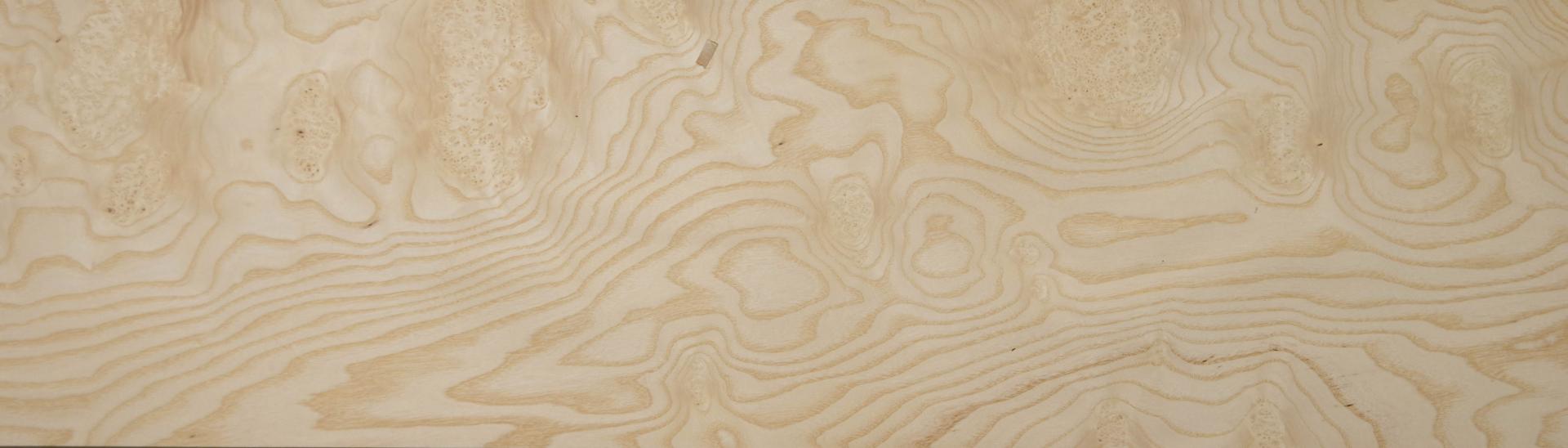 White Ash Burl, - veneer (0,6mm) - 10.93m² (15pcs. x 235cm x 31cm)