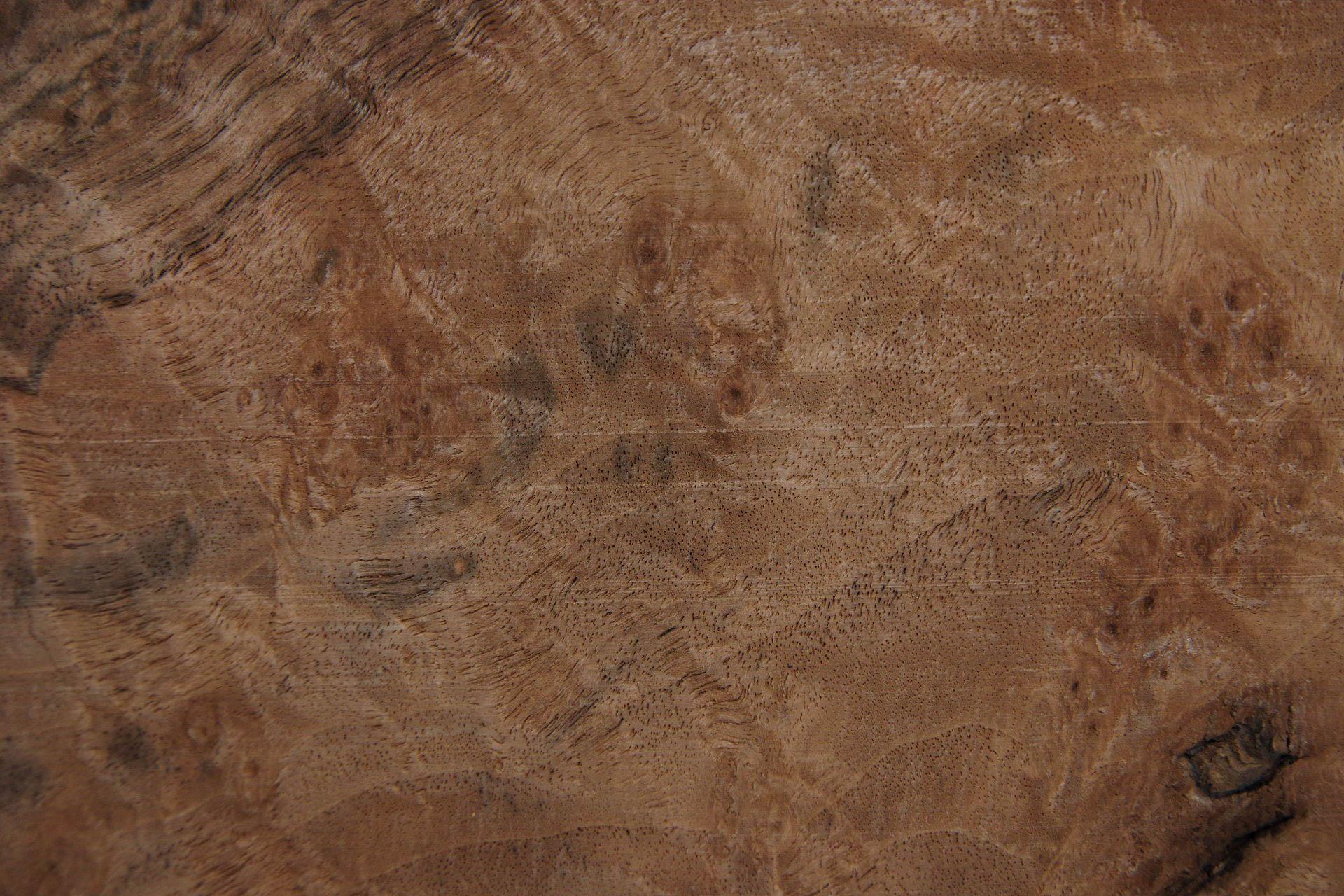 Californian Walnut Burl, - veneer (1,5mm) - 0,24m² (10pcs. x 17cm x 14cm)