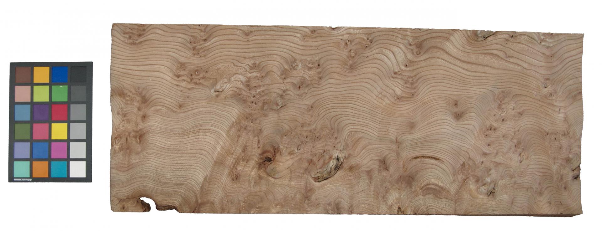 Rüster (Ulme) Halbmaser -Furnier (0,6mm) - 4,57m² (21Stk. x 75cm x 29cm)
