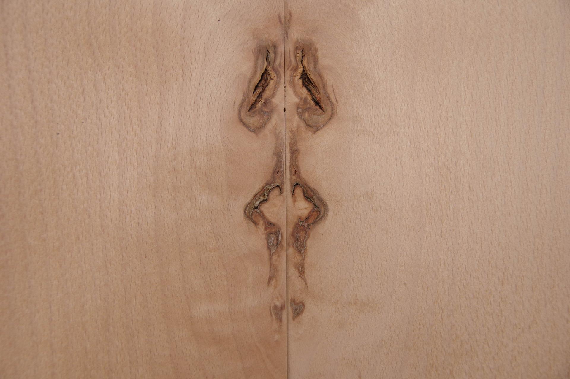 Beech, - veneer (0,6mm) - 0,79m² (22pcs. x 19cm x 19cm)