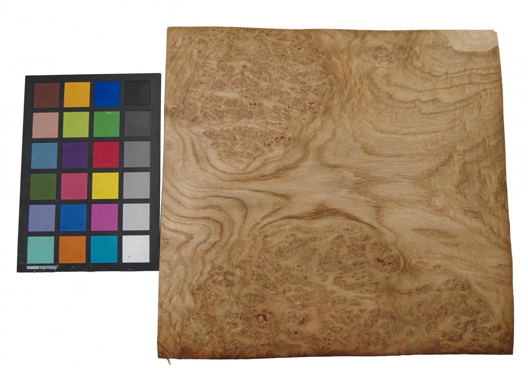 Eiche, Maser (Roseneiche) -Furnier (0,6mm) - 0,95m² (9Stk. x 33cm x 32cm)