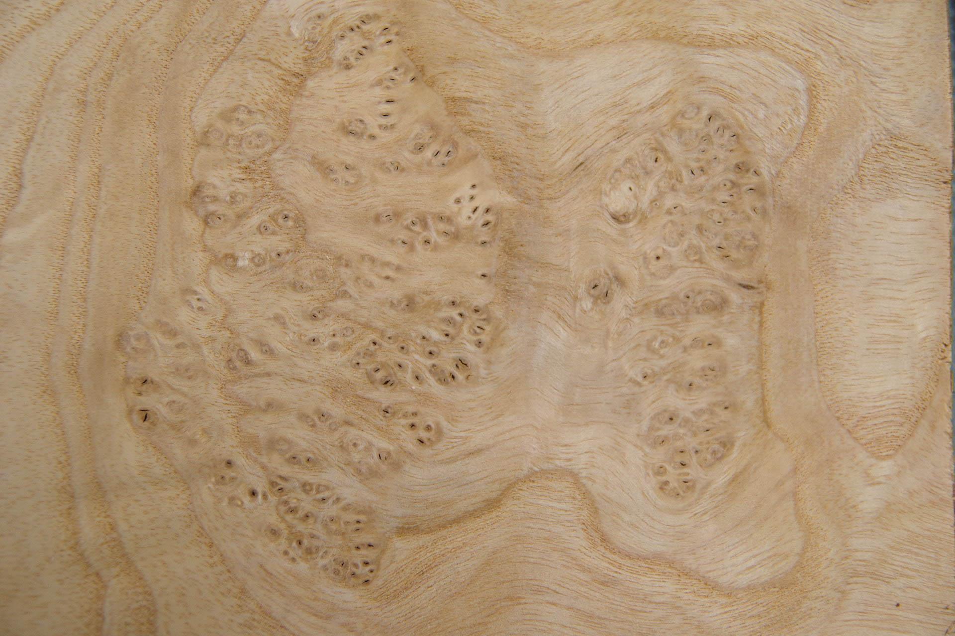Olive Ash Burl, - veneer (0,6mm) - 1,2m² (5pcs. x 48cm x 50cm)