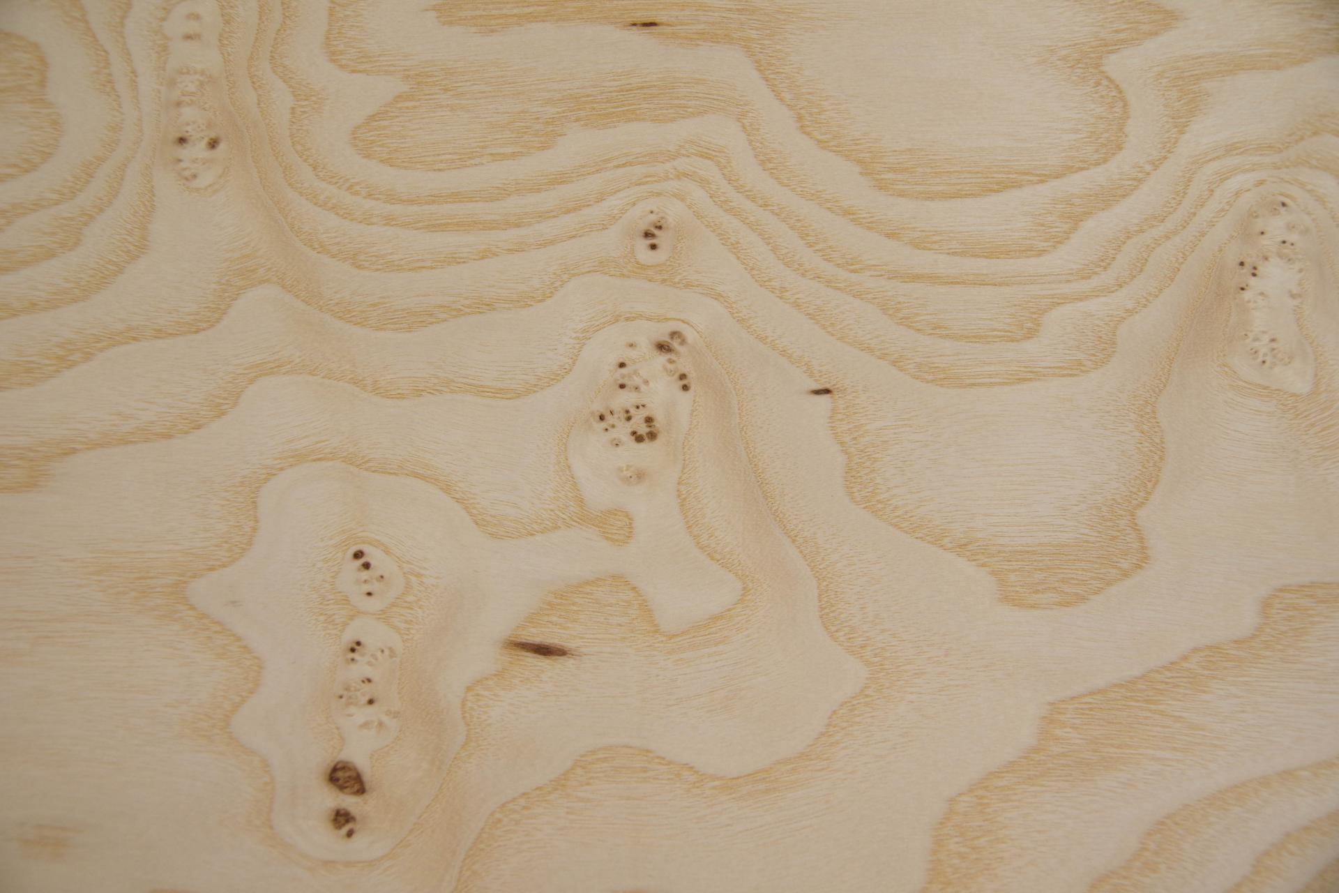 White Ash Burl, - veneer (0,6mm) - 9,09m² (16pcs. x 203cm x 28cm)