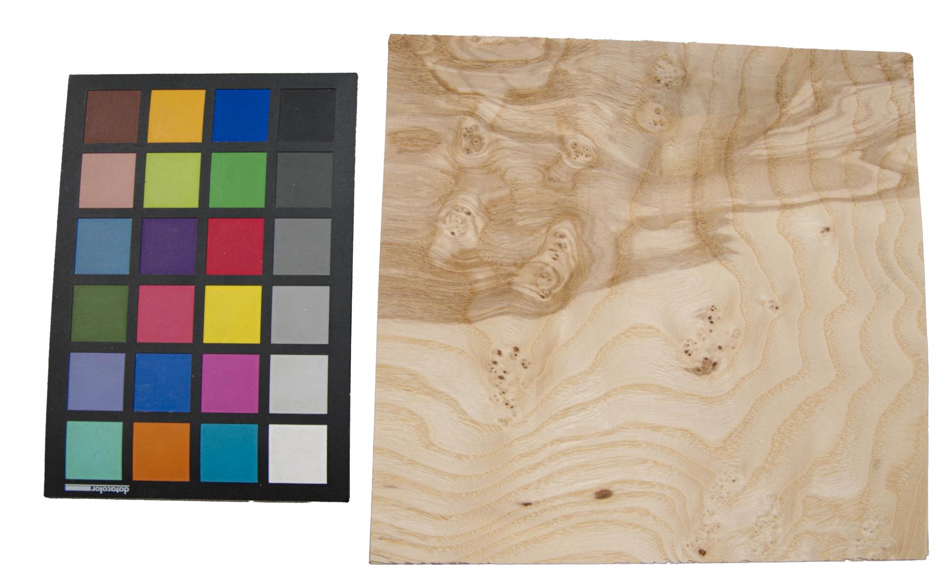 Esche Maser; oliv -Furnier (0,6mm) - 0,46m² (8Stk. x 25cm x 23cm)