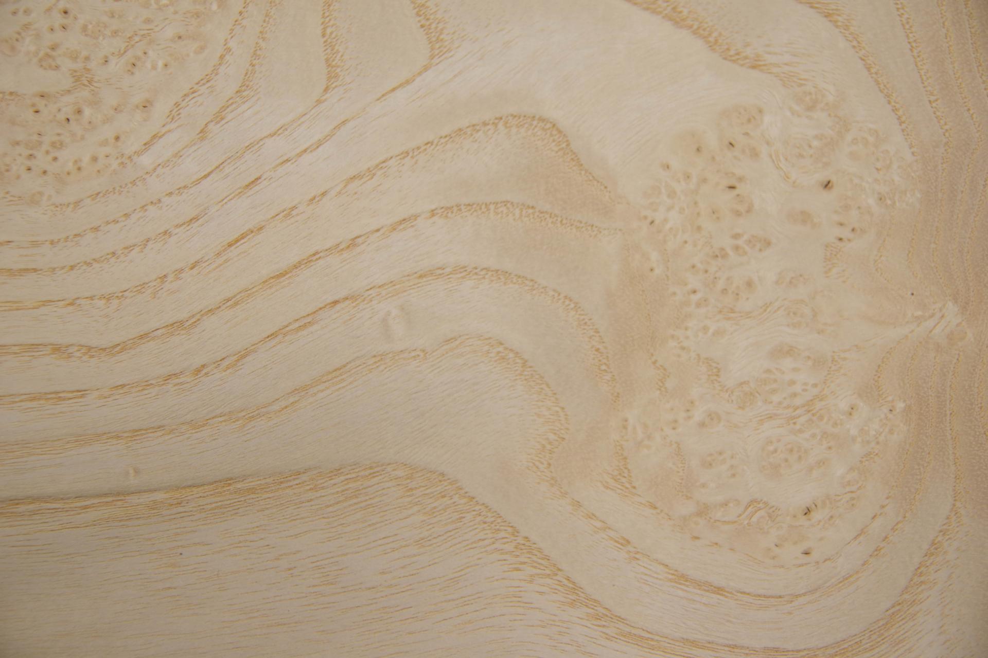 White Ash Burl, - veneer (0,6mm) - 2,46m² (15pcs. x 82cm x 20cm)