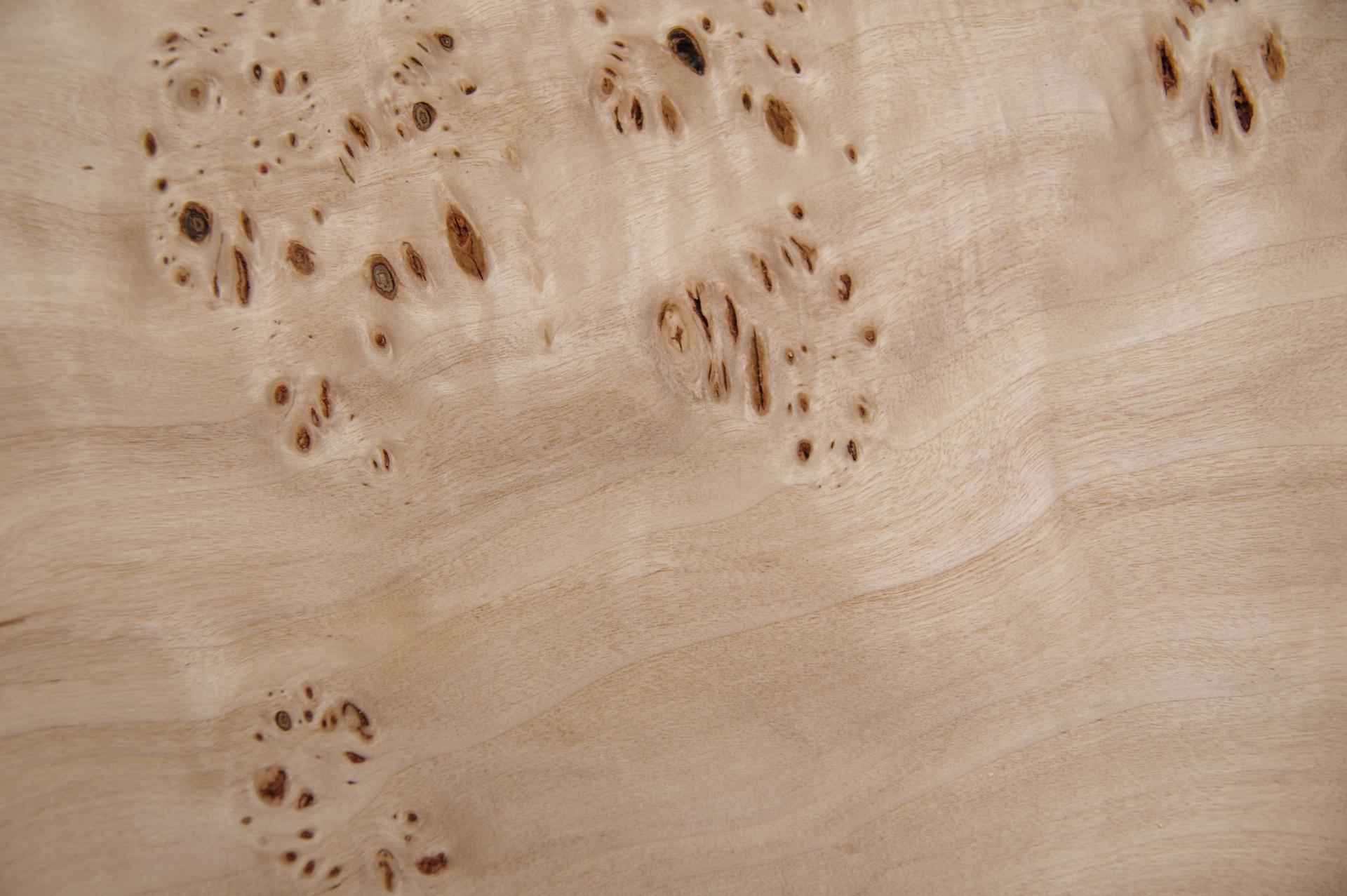 Pappel Maser (Mapa) -Furnier (0,6mm) - 1,35m² (22Stk. x 34cm x 18cm)