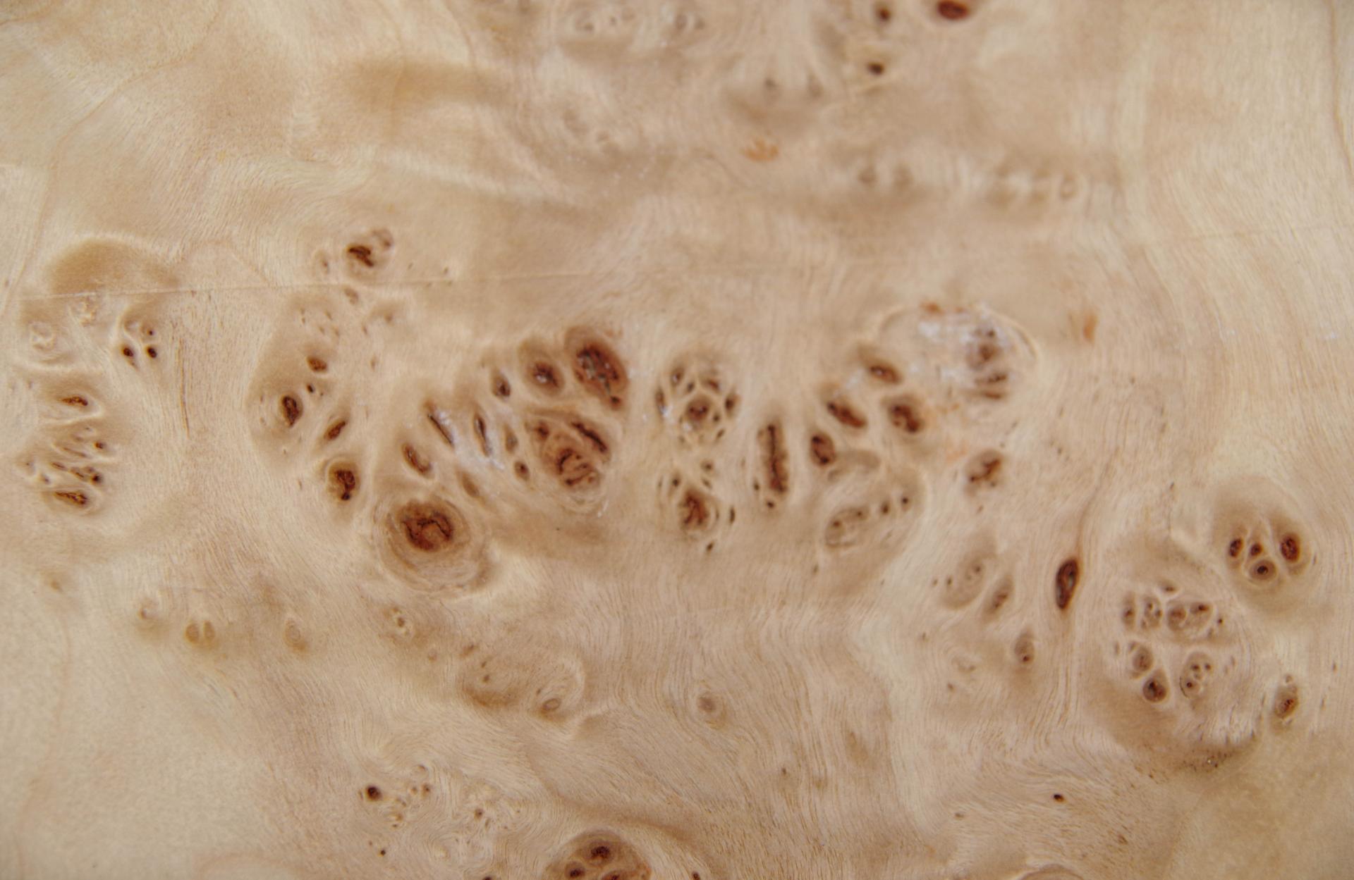 Pappel Maser (Mapa) -Furnier (0,6mm) - 0,42m² (22Stk. x 10cm x 19cm)