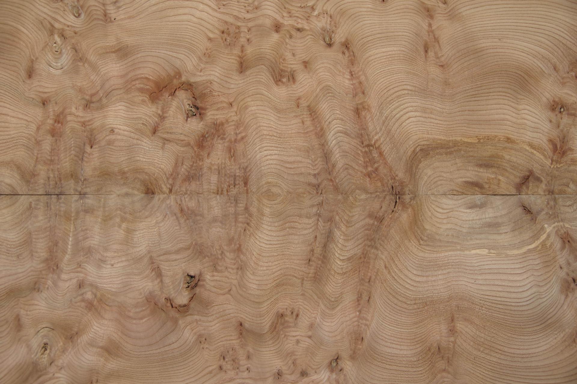 Elm partial Burl, - veneer (0,6mm) - 4,41m² (21pcs. x 75cm x 28cm)