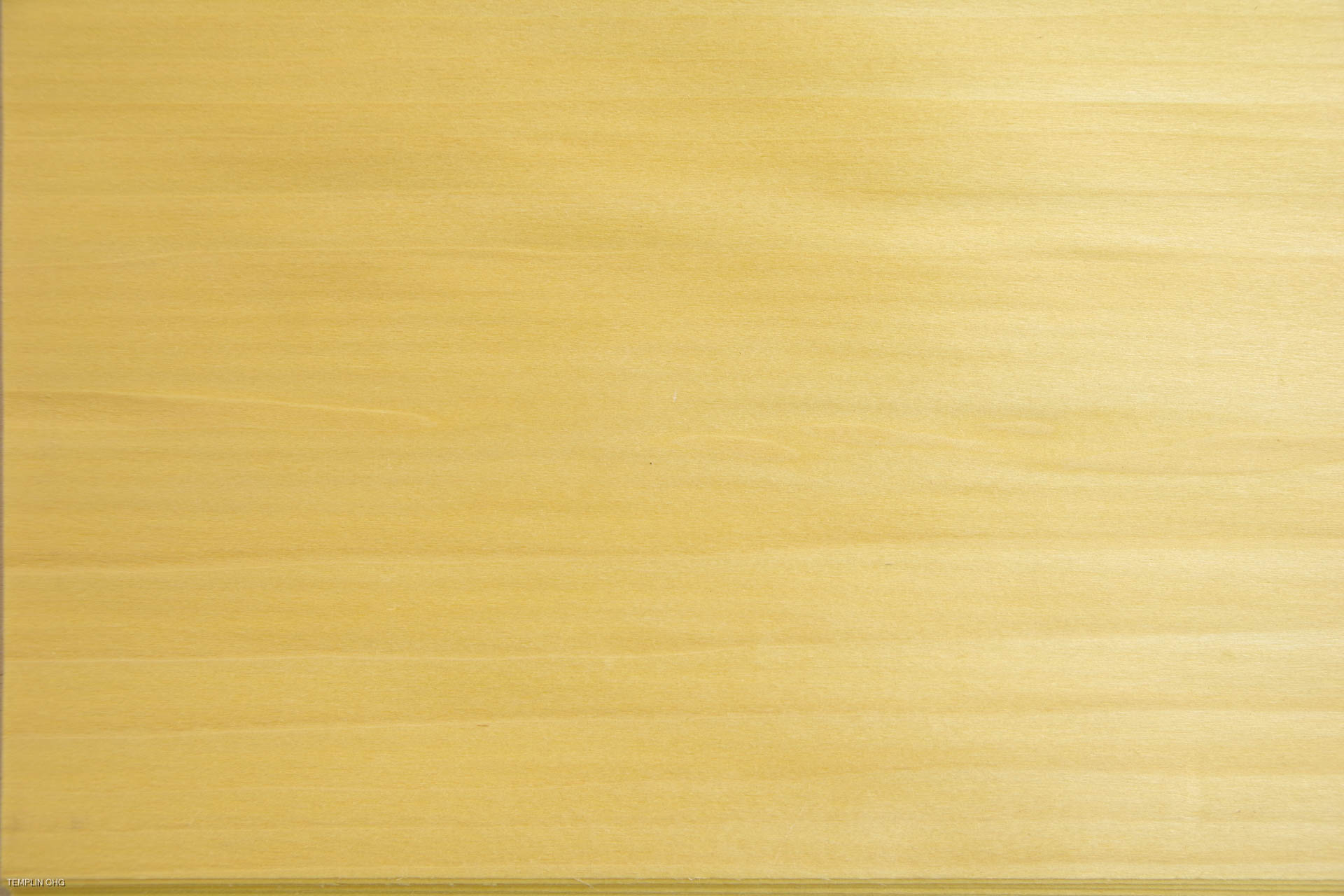 0,6mm Tulpenbaum gelb gefärbtes Furnier 0,33m² G 6 29 19