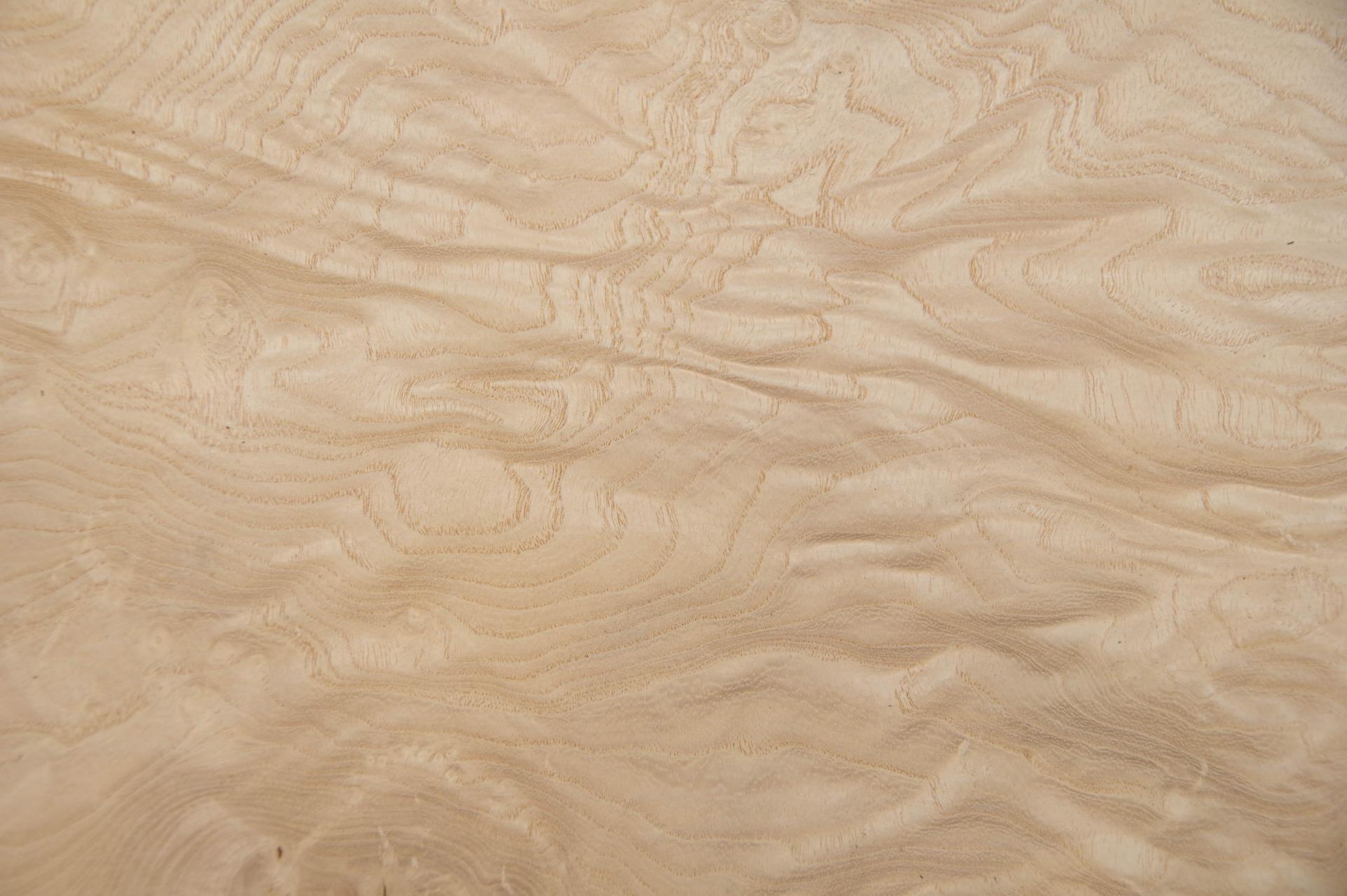 White Ash Burl, - veneer (0,6mm) - 1,9m² (20pcs. x 50cm x 19cm)