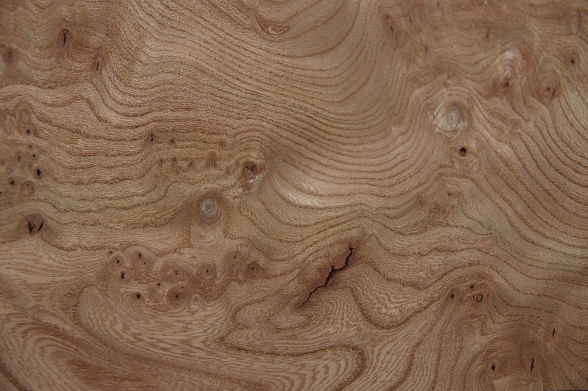 Elm partial Burl, - veneer (0,6mm) - 0,13m² (5pcs. x 18cm x 14cm)