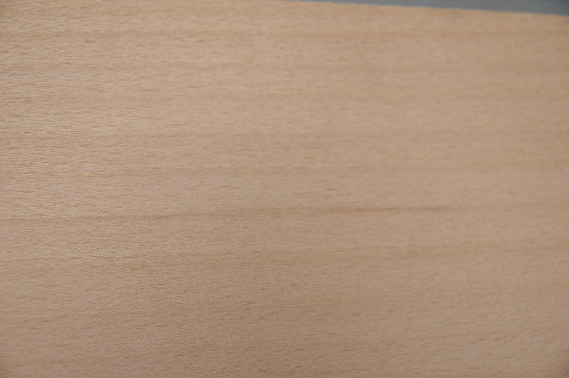 Beech, - veneer (0,6mm) - 1,06m² (24pcs. x 55cm x 8cm)