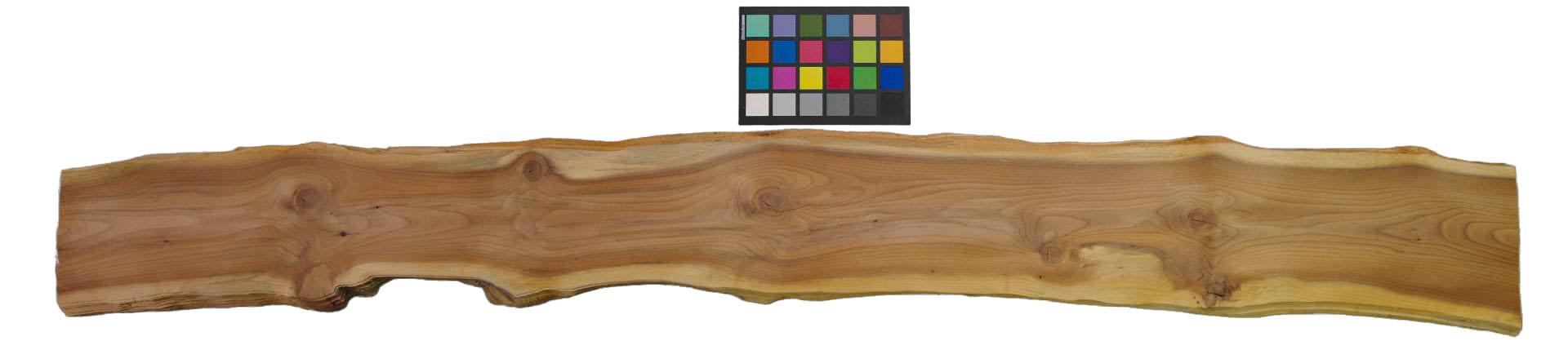 Yewtree, veneer with Colour reference card
