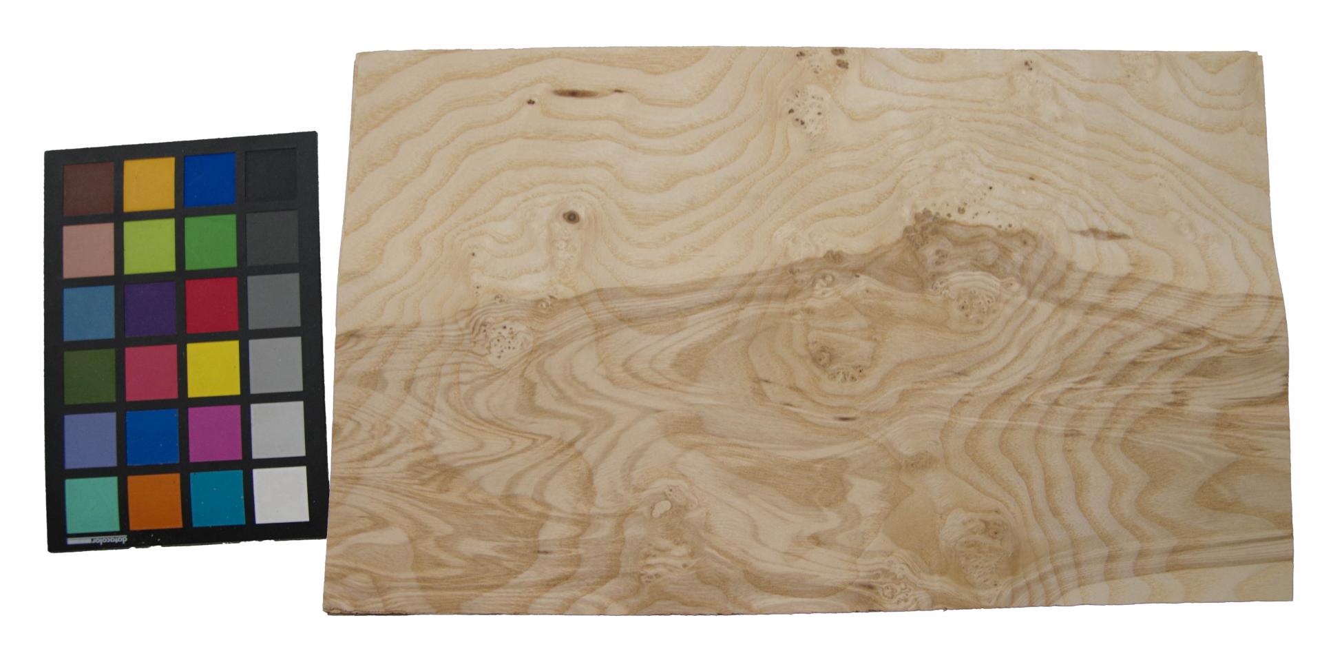 Esche Maser; oliv -Furnier (0,6mm) - 1,22m² (10Stk. x 45cm x 27cm)