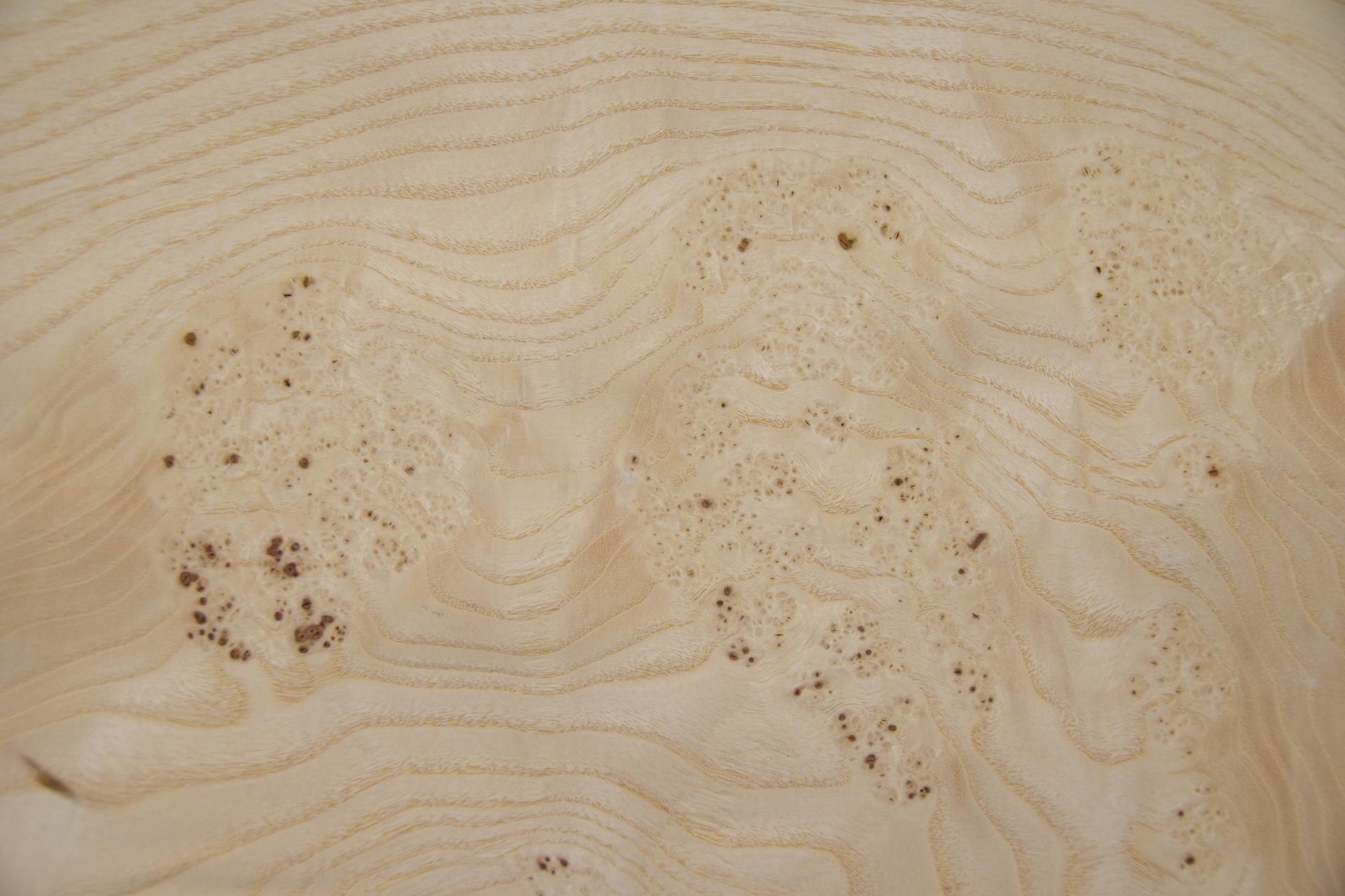 White Ash Burl, - veneer (0,6mm) - 4,91m² (15pcs. x 104cm x 31,5cm)