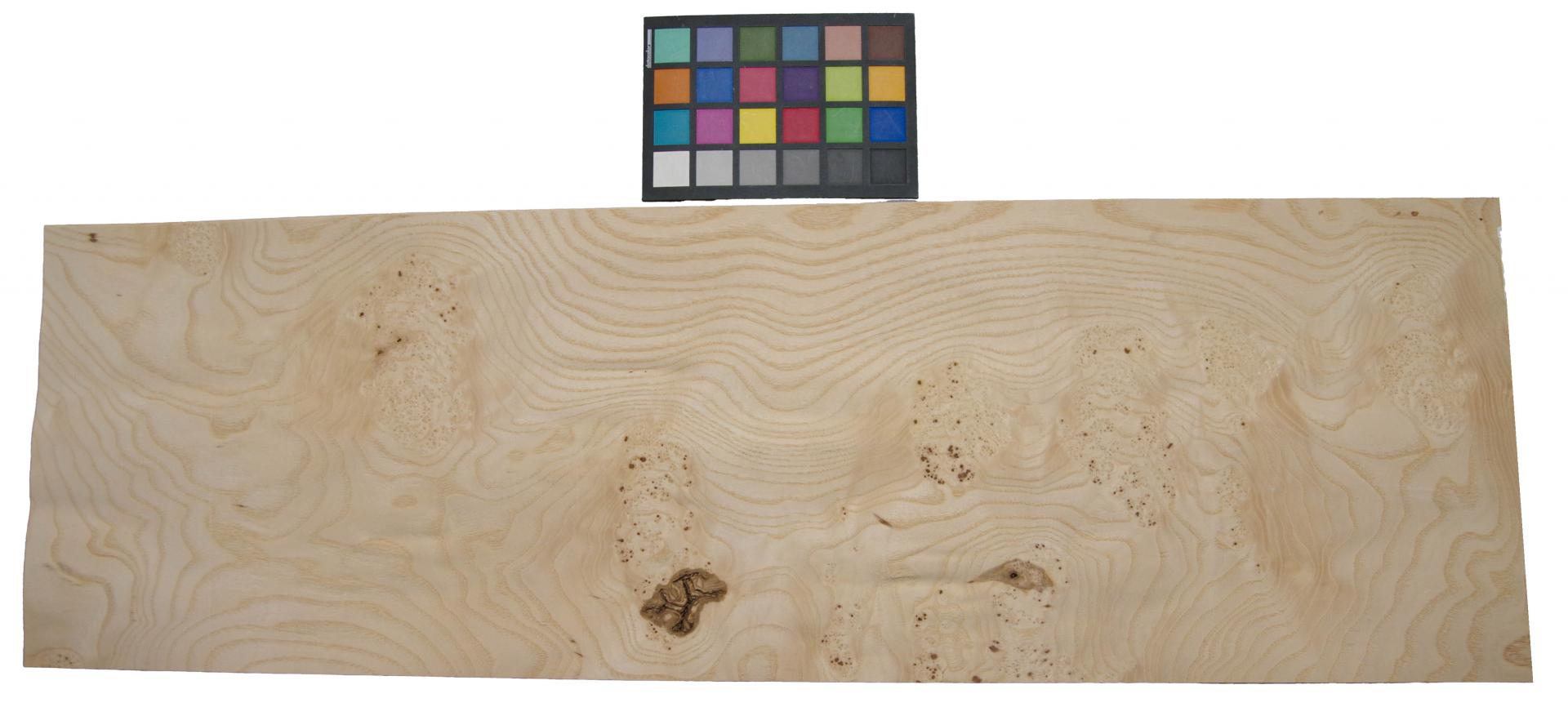 White Ash Burl, - veneer (0,6mm) - 4,91m² (15pcs. x 104cm x 31,5cm)