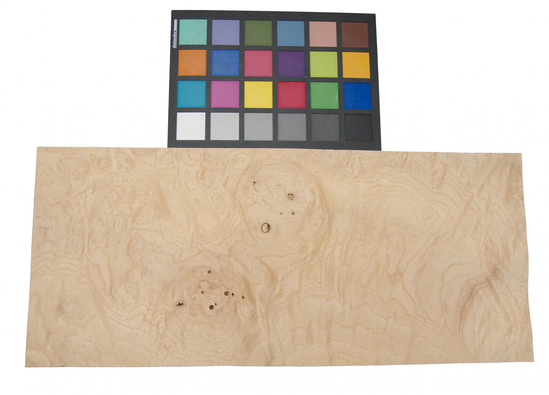 Esche Maser, weiß -Furnier (0,6mm) - 1,24m² (16Stk. x 43cm x 18cm)