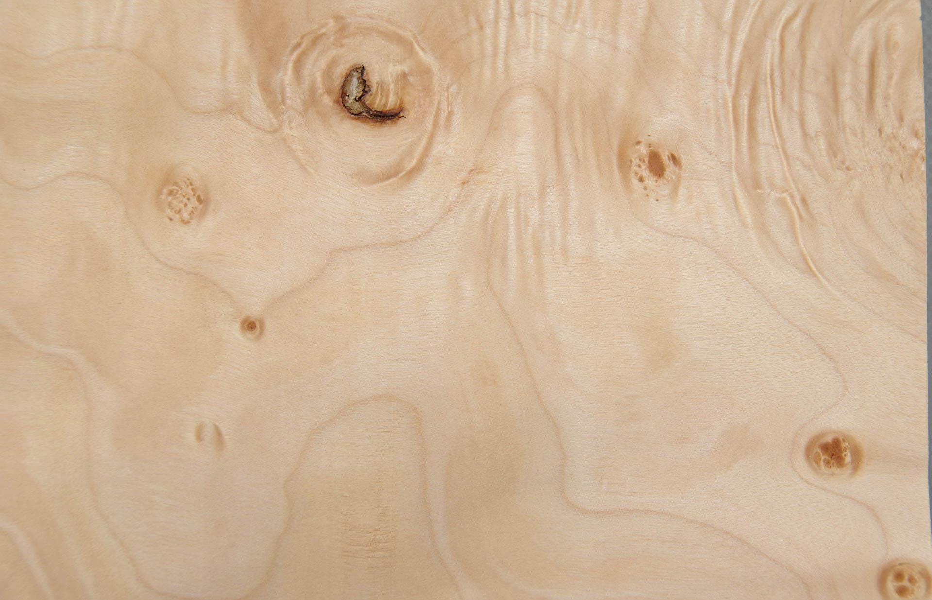 Quilted Maple (Muschelahorn) -Furnier (0,6mm) - 0,21m² (7Stk. x 23cm x 13cm)