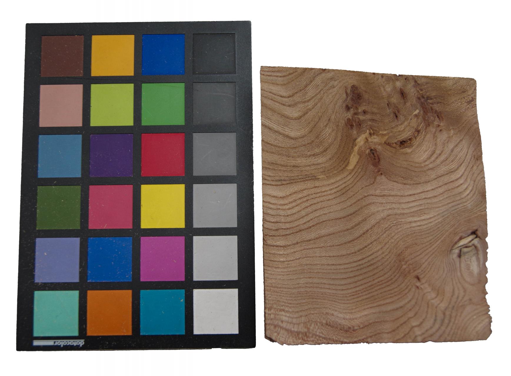 Rüster (Ulme) Halbmaser -Furnier (0,6mm) - 0,24m² (14Stk. x 12cm x 14cm)