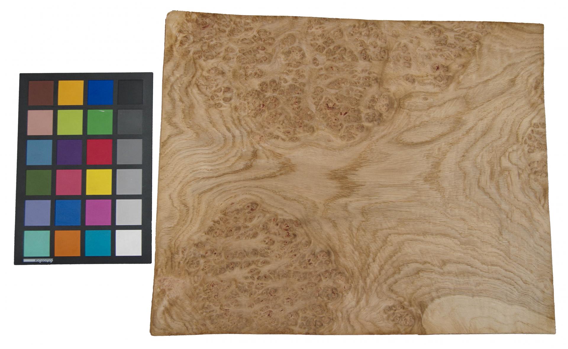 Eiche, Maser (Roseneiche) -Furnier (0,6mm) - 2,62m² (21Stk. x 39cm x 32cm)