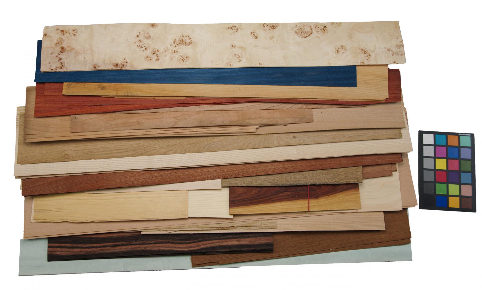 Einzelblätter und Abschnitte