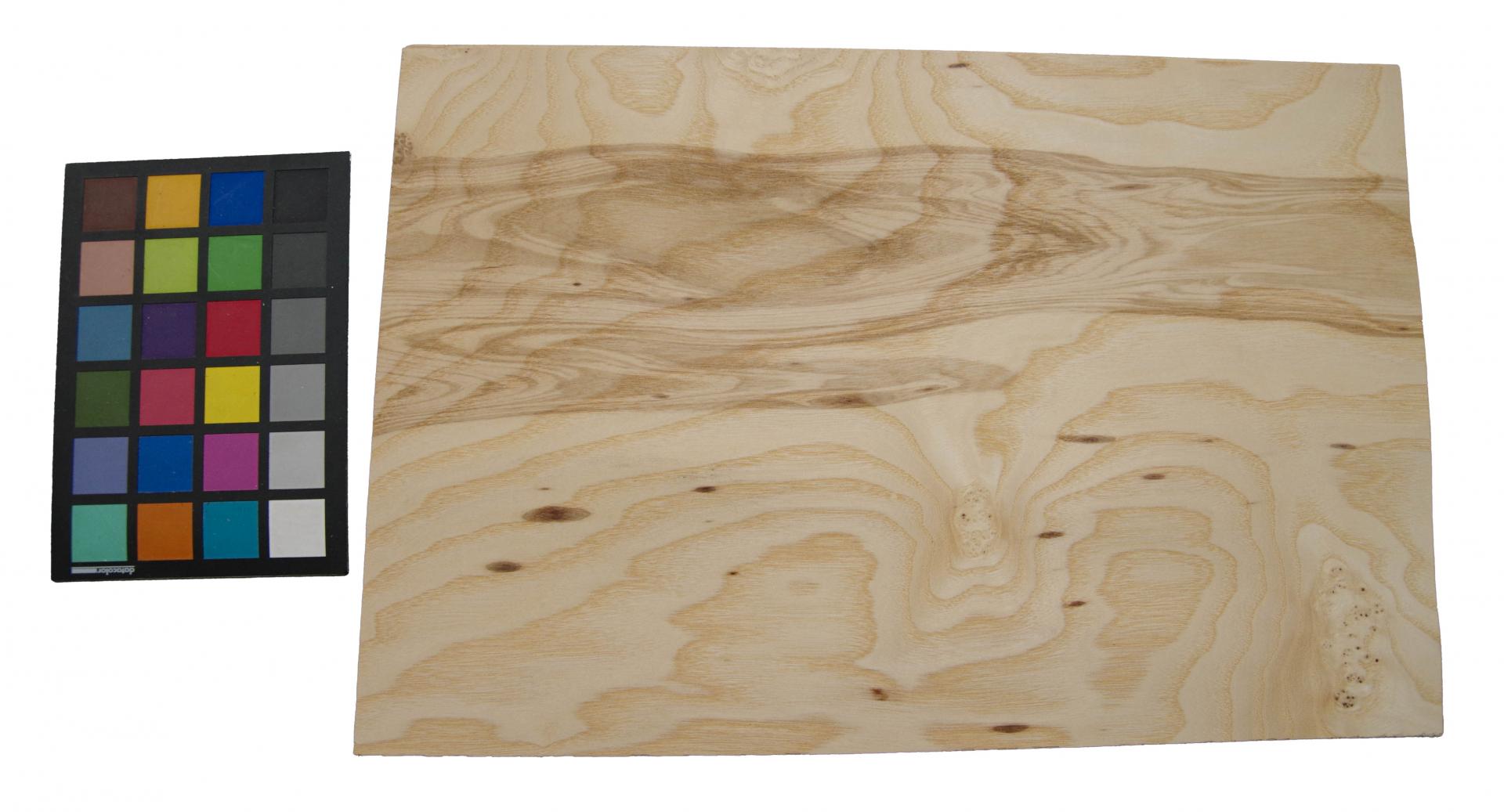 Esche Maser; oliv -Furnier (0,6mm) - 1,49m² (10Stk. x 48cm x 31cm)