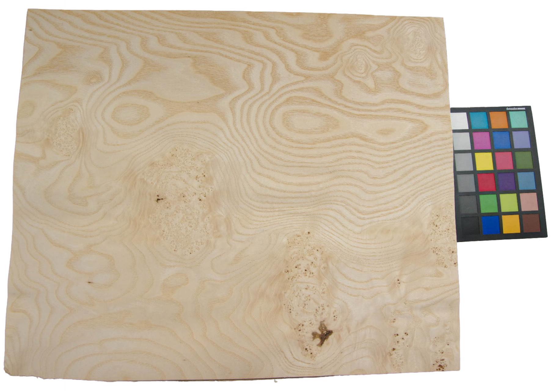 White Ash Burl, - veneer (0,6mm) - 3,36m² (11pcs. x 61cm x 50cm)