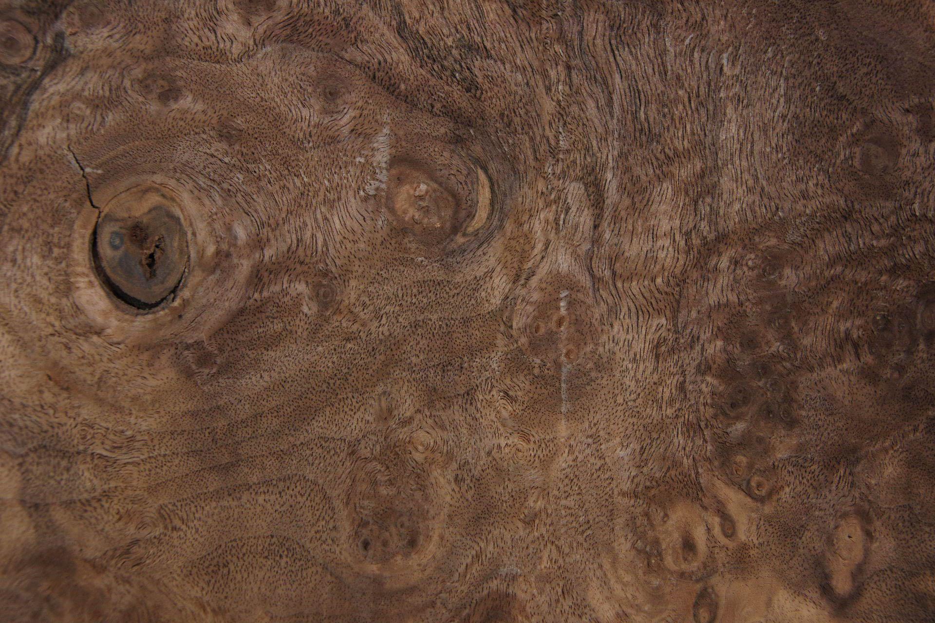Californian Walnut Burl, - veneer (1,8mm) - 0,34m² (7pcs. x 22cm x 22cm)