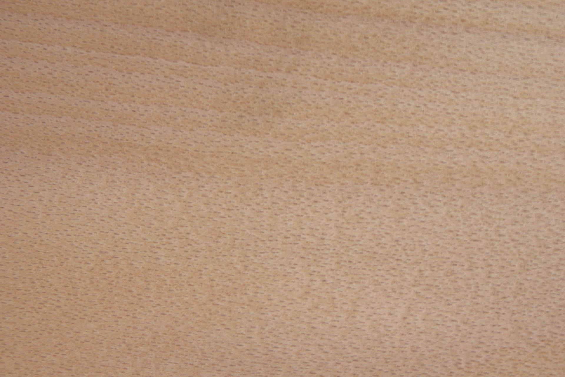 Beech, veneer