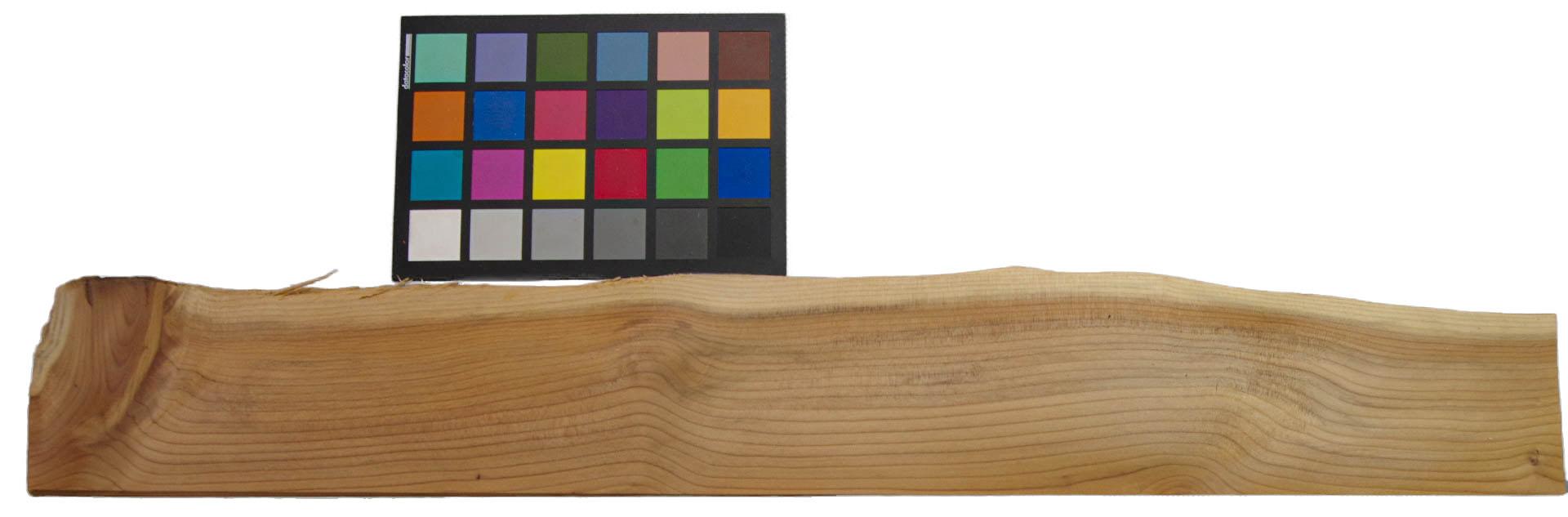Yewtree, veneer with Colour reference card