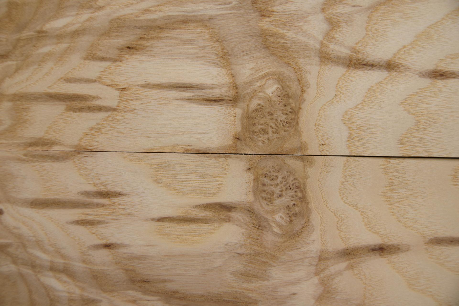 Esche Maser; oliv -Furnier (0,6mm) - 0,27m² (8Stk. x 36cm x 9,5cm)