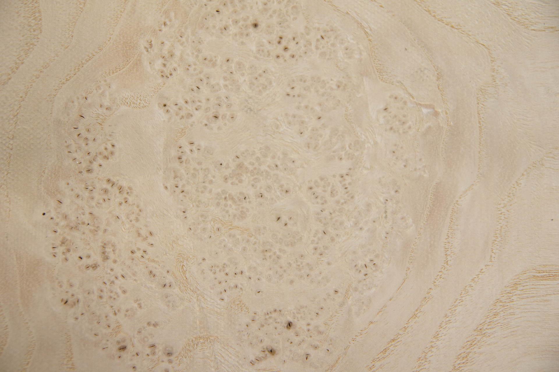 White Ash Burl, - veneer (0,6mm) - 1,98m² (11pcs. x 34cm x 53cm)