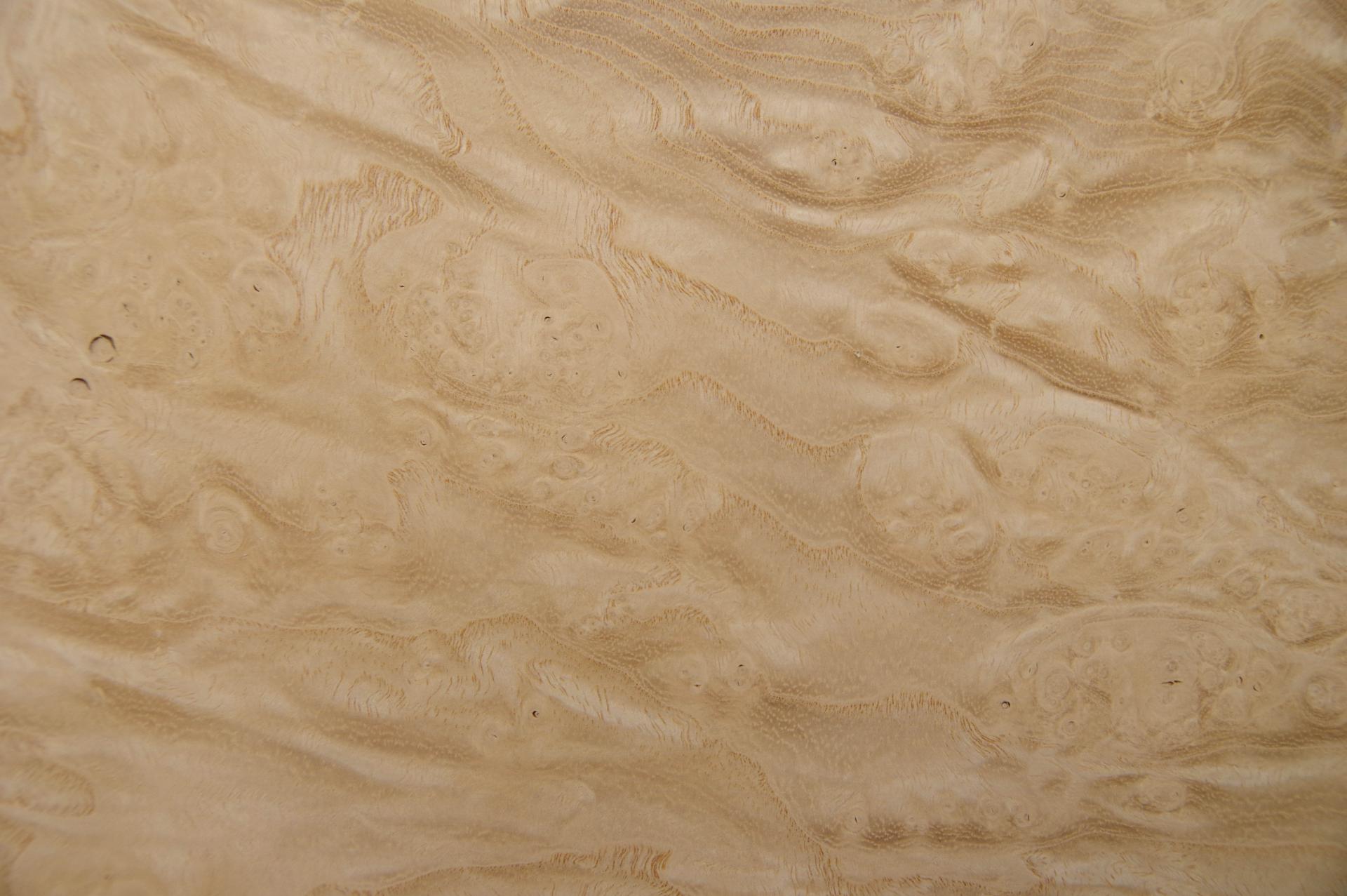Esche Maser, weiß -Furnier (0,6mm) - 0,23m² (5Stk. x 35cm x 13cm)